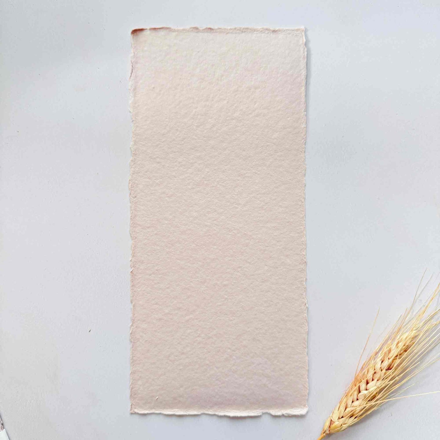 Blush pink handmade card with deckled edges in a DL size