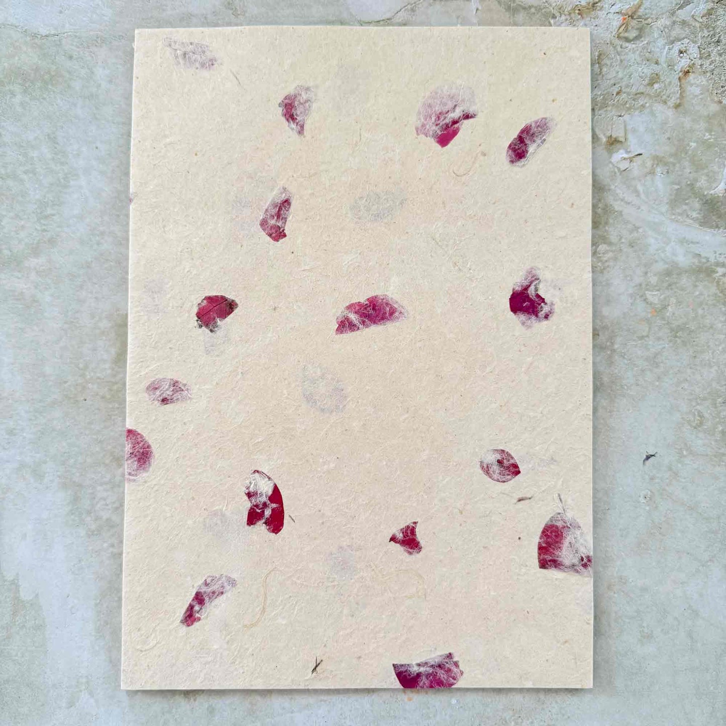 Sustainable Lokta Paper with bougainvillea petals.  Sustainable A4 printer paper with pressed flowers