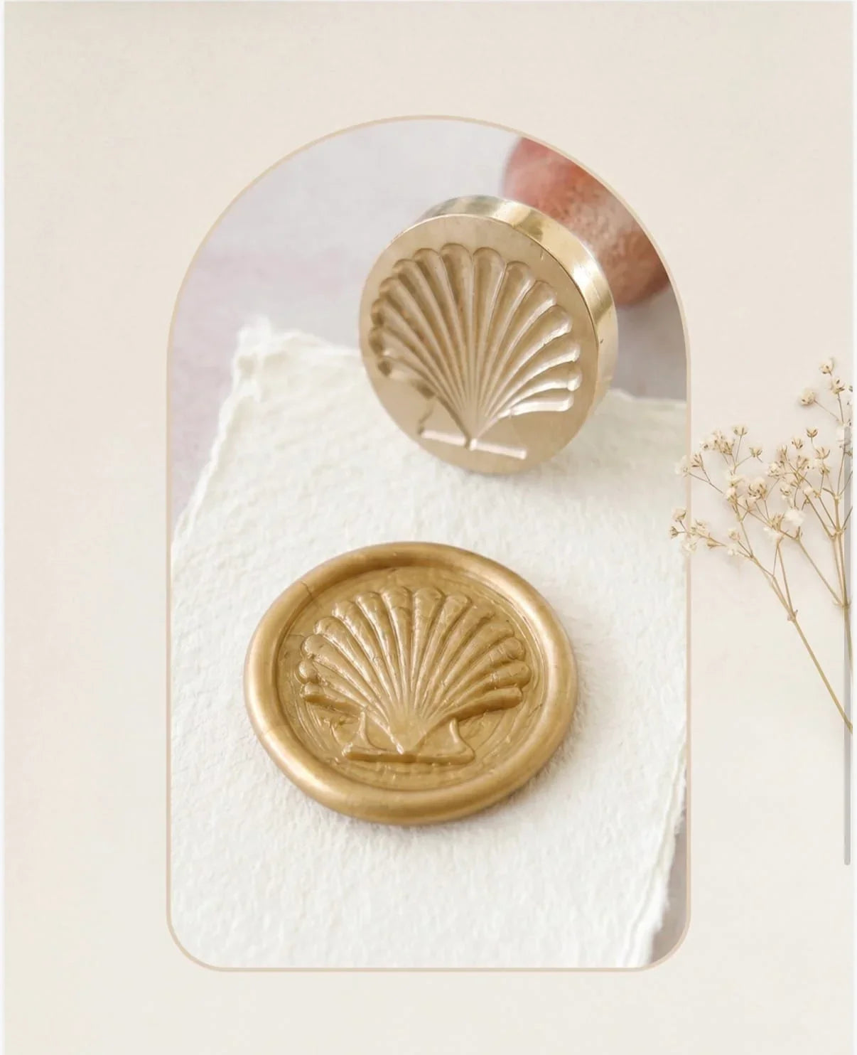 Close-up view of a metallic gold wax seal embossed with a classic scallop shell design, pressed onto soft, deckle-edged handmade paper. Positioned above is the brass stamp head engraved with the same shell motif, fitted to a smooth wooden handle. The composition is framed in a gentle arch with neutral tones and dried white floral accents, from The Natural Paper Company.