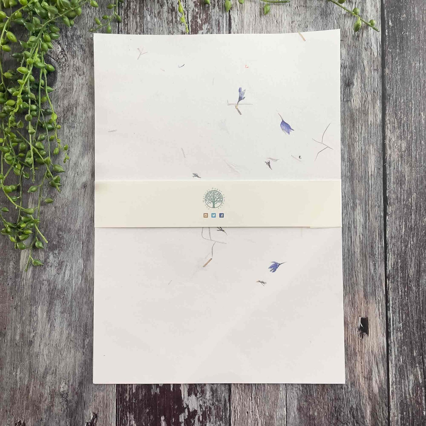 A4 handmade paper with cornflower. Pressed flower paper with blue flowers by The Natural Paper Company