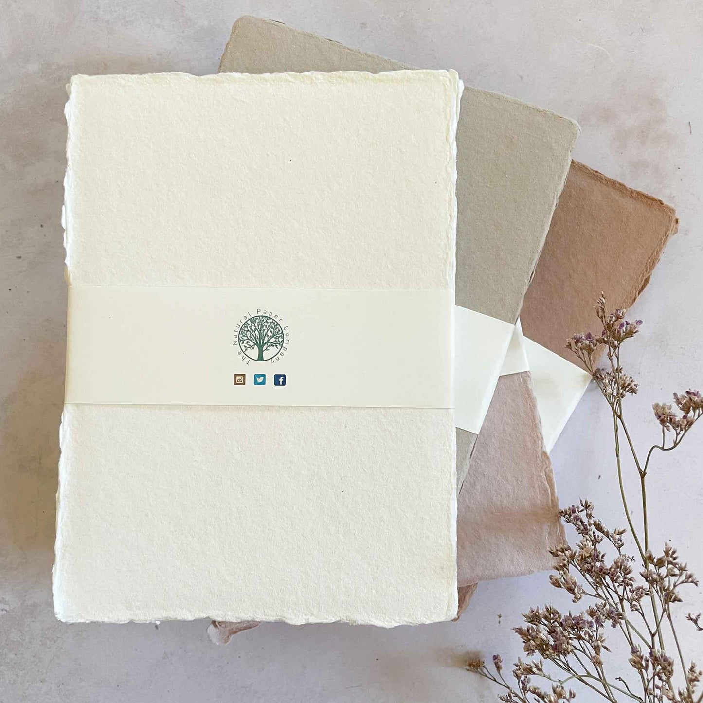 Cotton Rag Paper and Card by The Natural Paper Company. Natural Colour Paper and card with deckled edges