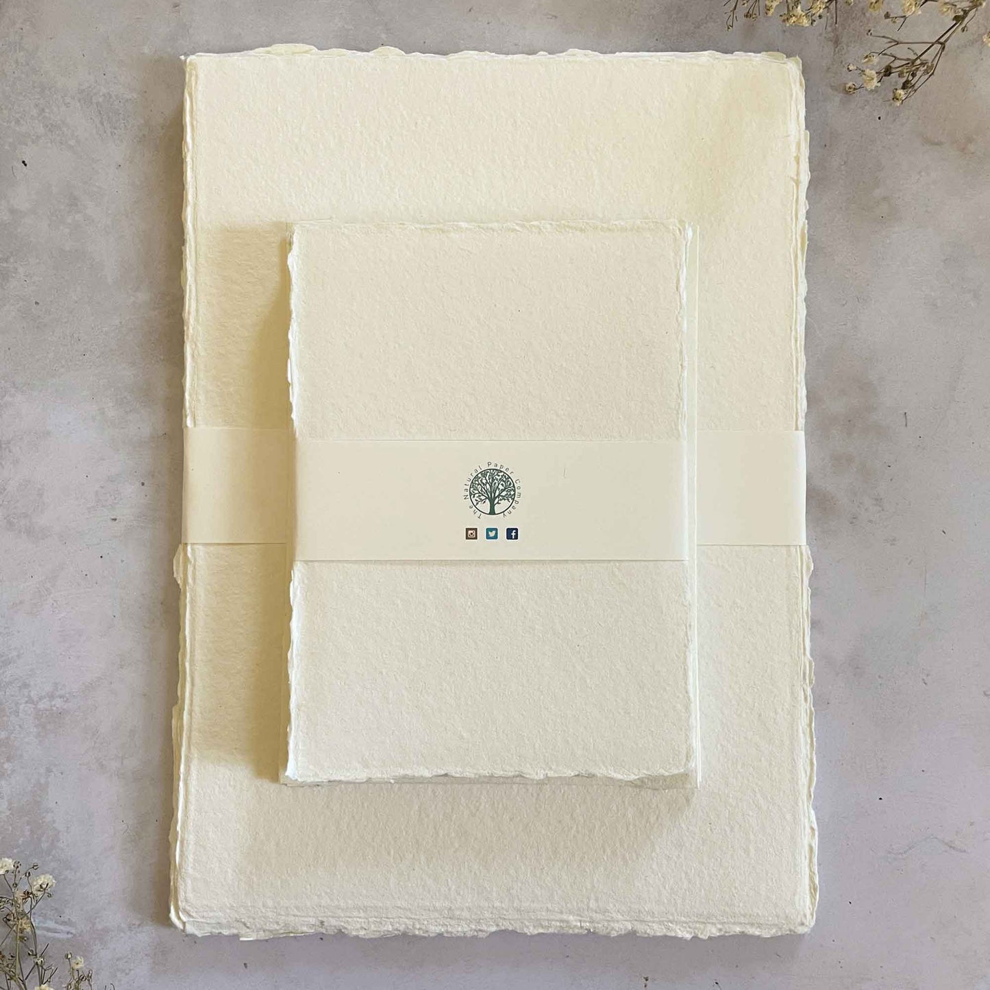 Ivory handmade cotton rag paper with deckled edges. By The Natural Paper Company