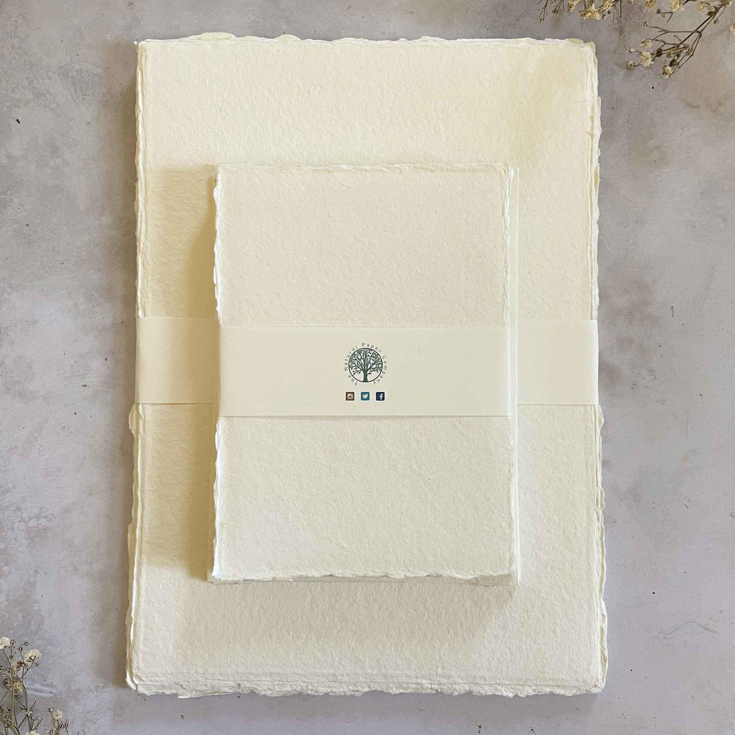 Ivory handmade cotton rag paper with deckled edges. By The Natural Paper Company