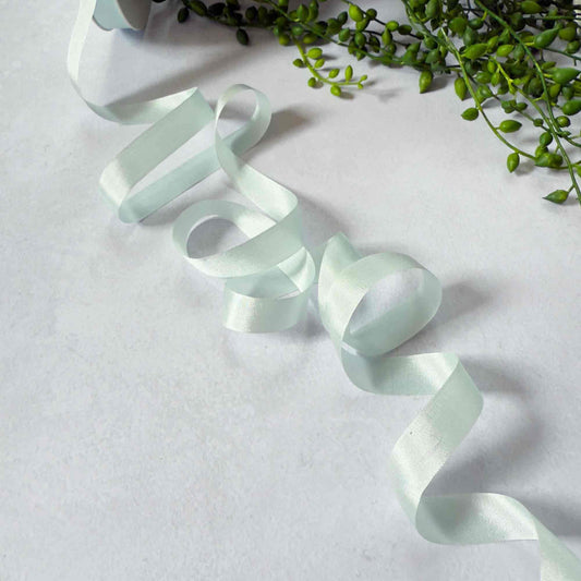 Light blue ribbon on a white background with green leaves.