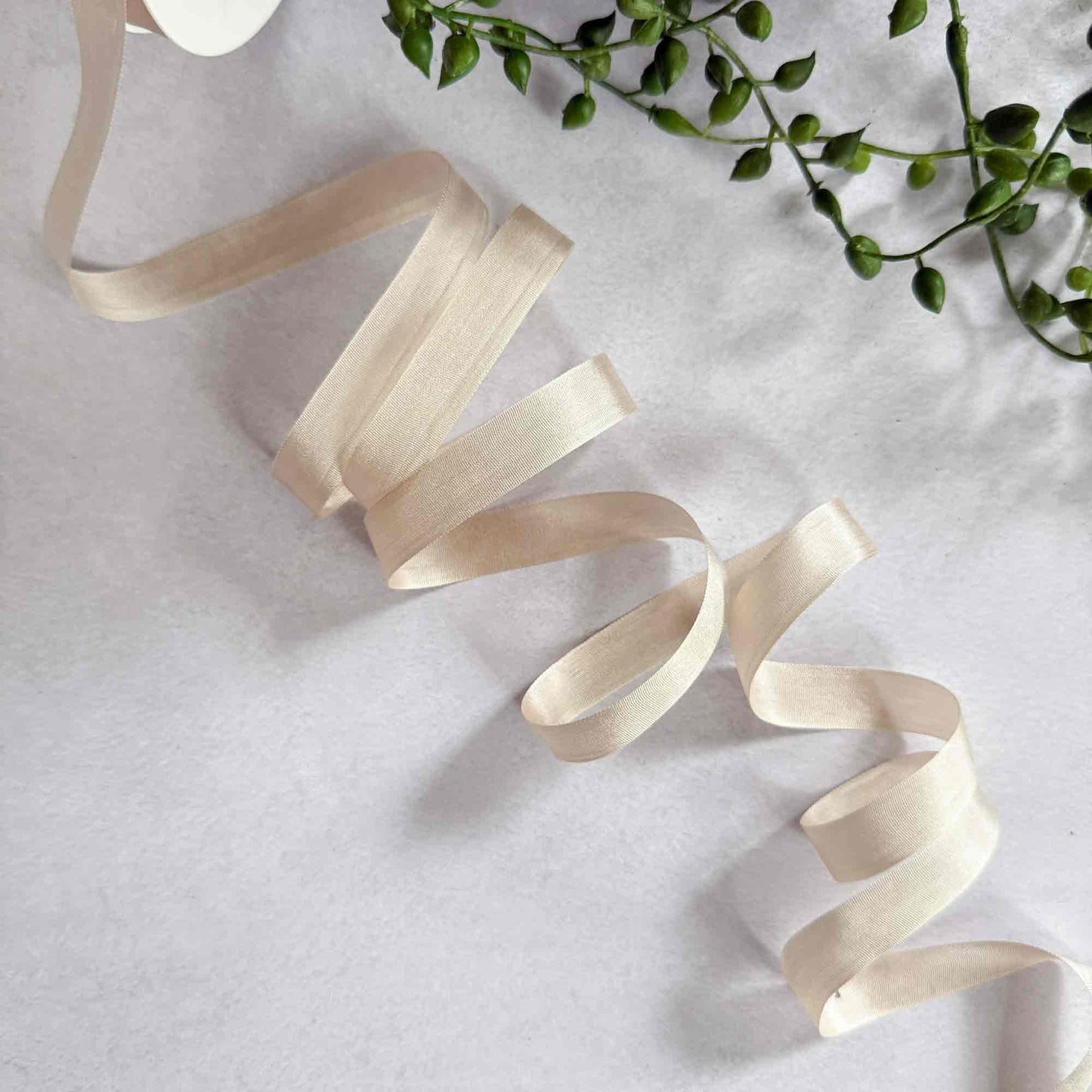 Beige ribbon on a light gray background with green leaves.