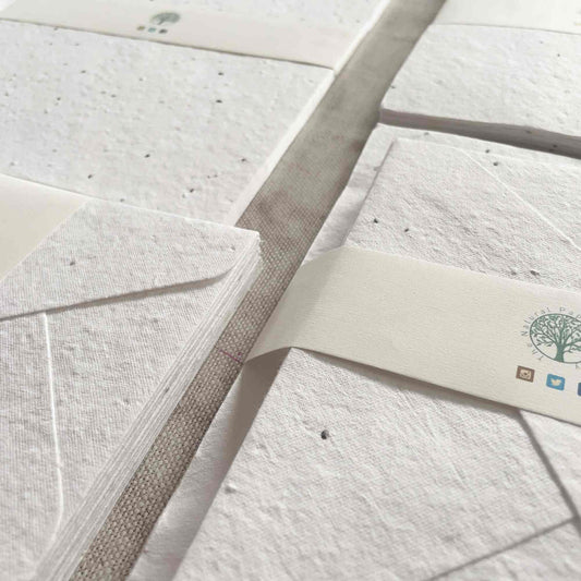 Plantable Basil Seed Paper Sustainable