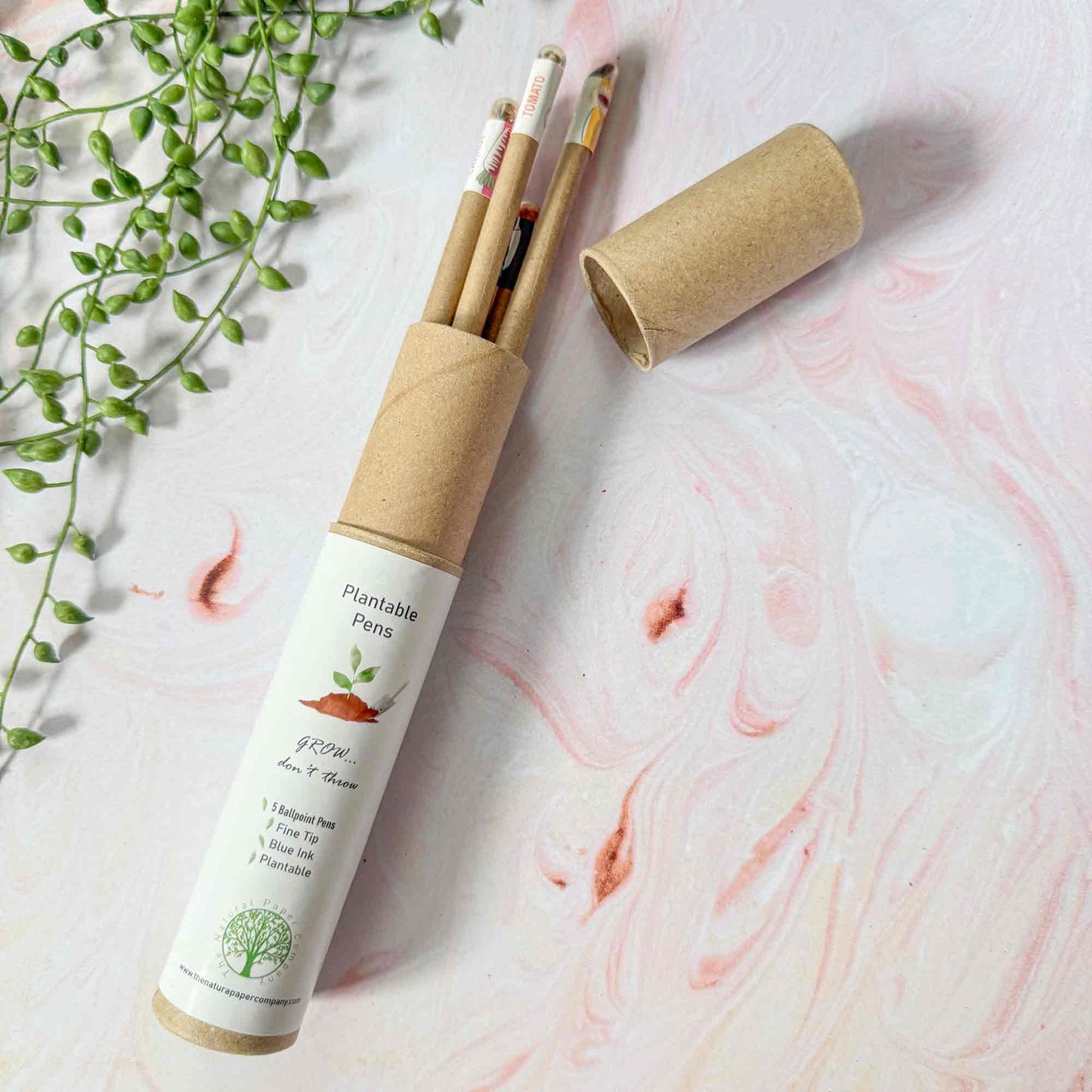 set of 5 plantable pens in gift packaging