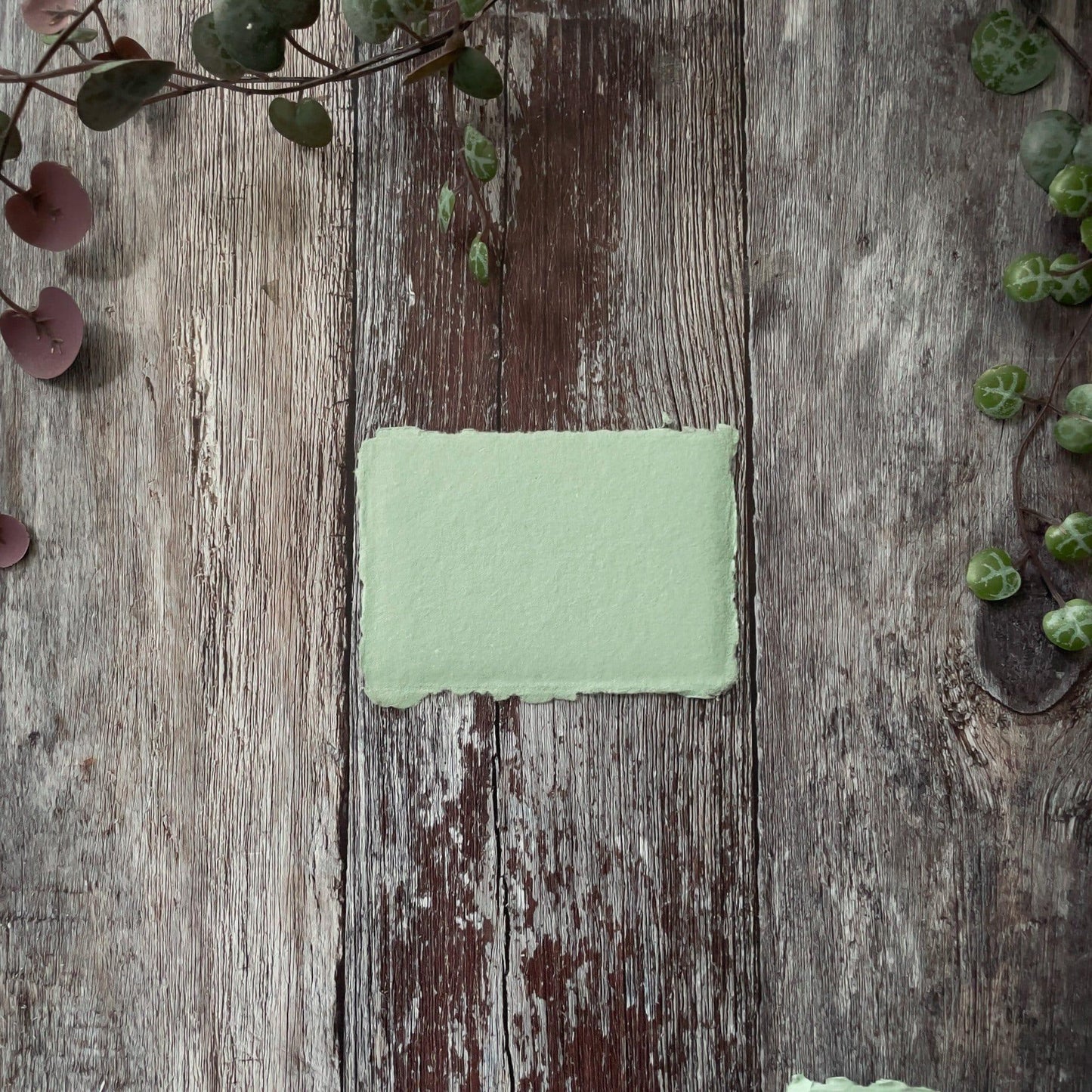 Dusky Green handmade paper with a deckled edge. Small place card size panels of card made from recycled cotton rag paper. Acid free and suitable for watercolour painting. By The Natural Paper Company