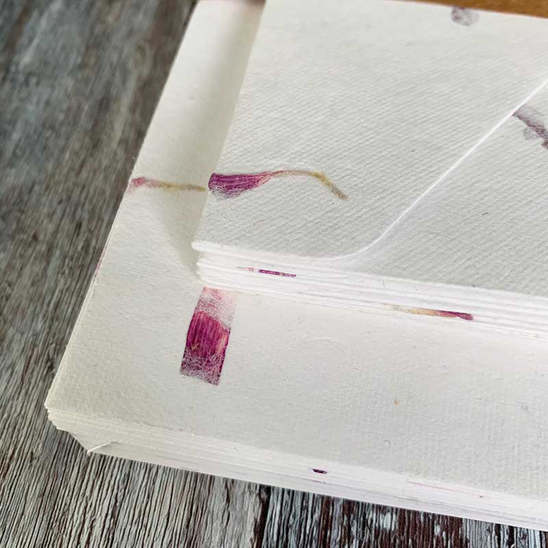 handmade paper and envelopes with pink aster flowers.  Botanical hand made paper in pink and white.  Recycled paper with pressed flowers.  Eco friendly letter wiring set