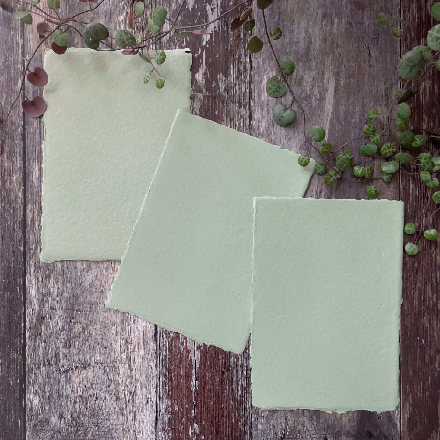 A5 sheets of handmade paper in sage green colour.  Dusky green handmade paper with a deckled edge.  Made from recycled cotton rag fibres.  Vegan.  Suitable for watercolour painting.  By The Natural paper Company