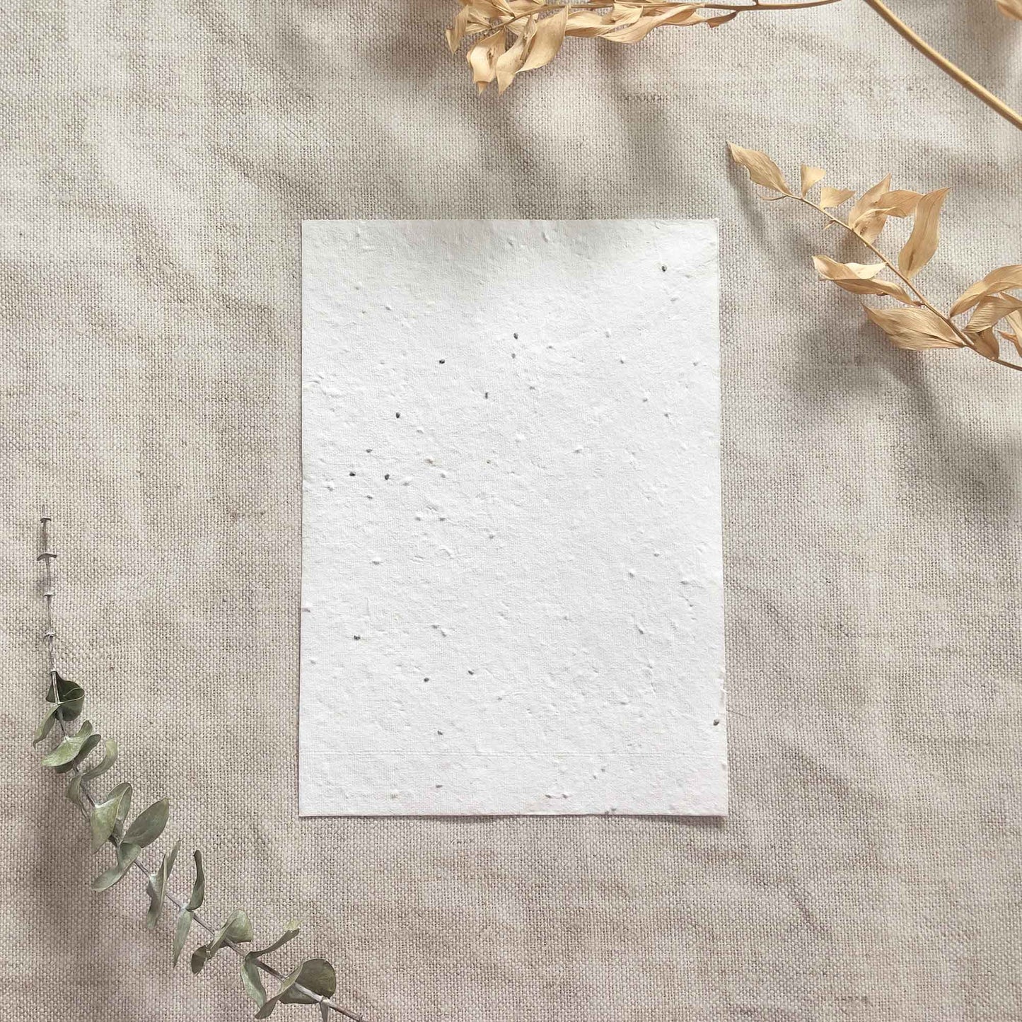 plantable handmade paper with basil seeds.  Made from recycled cotton rag fibres.