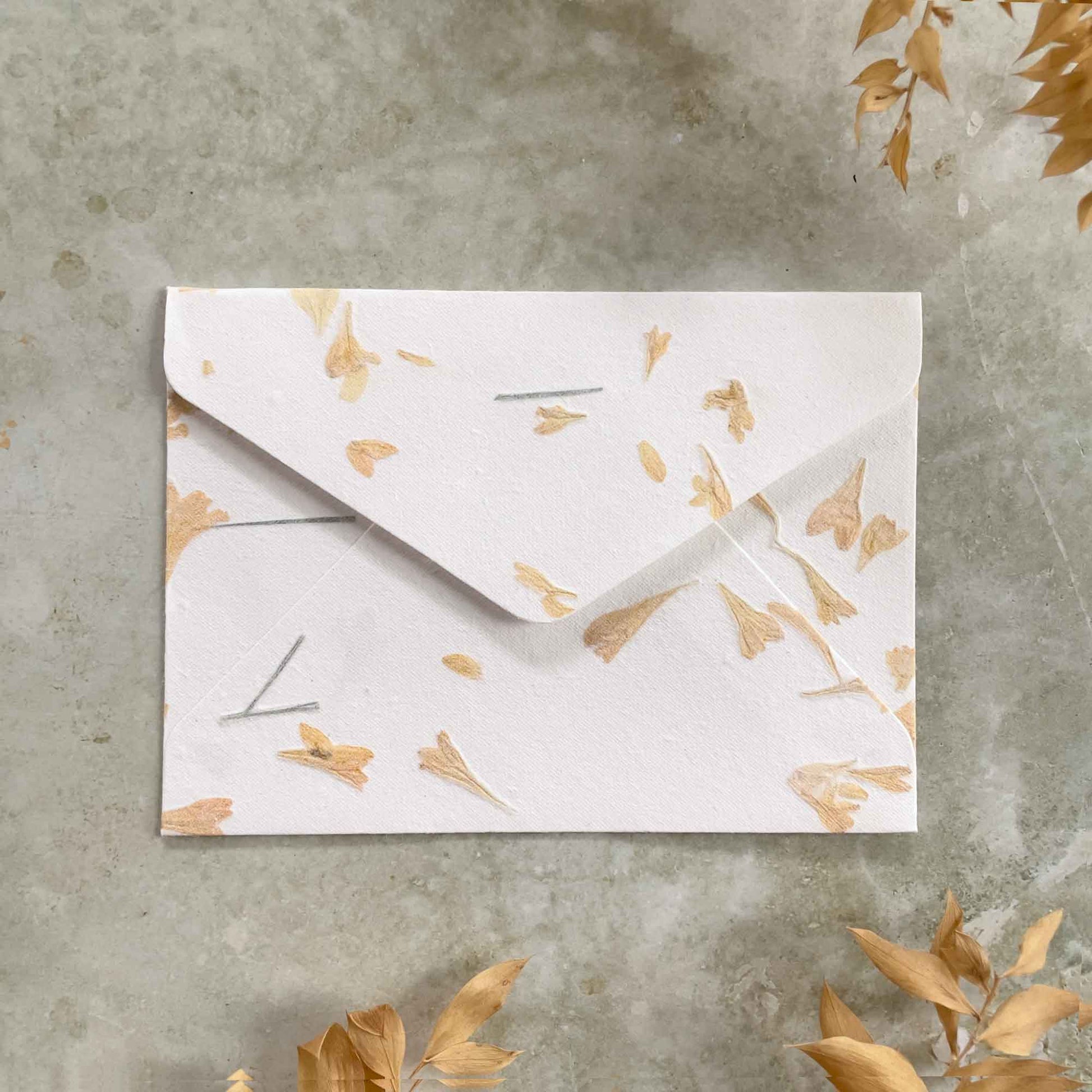 Gaillardia dried flower paper envelope by The Natural Paper Company