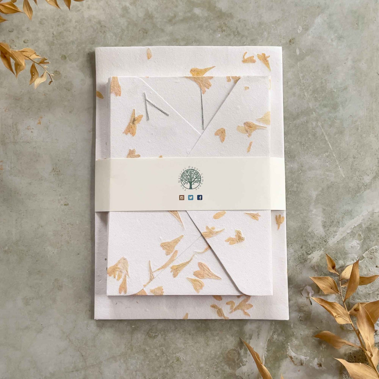 Gallardia Flower Handmade Paper and Envelope Letter Writing set by The Natural Paper Company