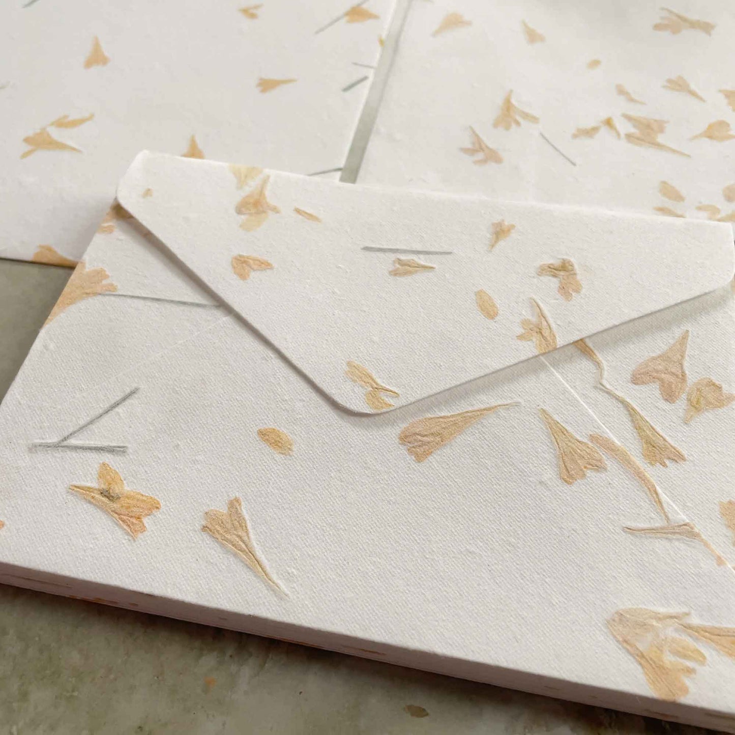 Gaillardia Handmade Cotton rag paper envelopes with dried flowers.  By The Natural Paper Company