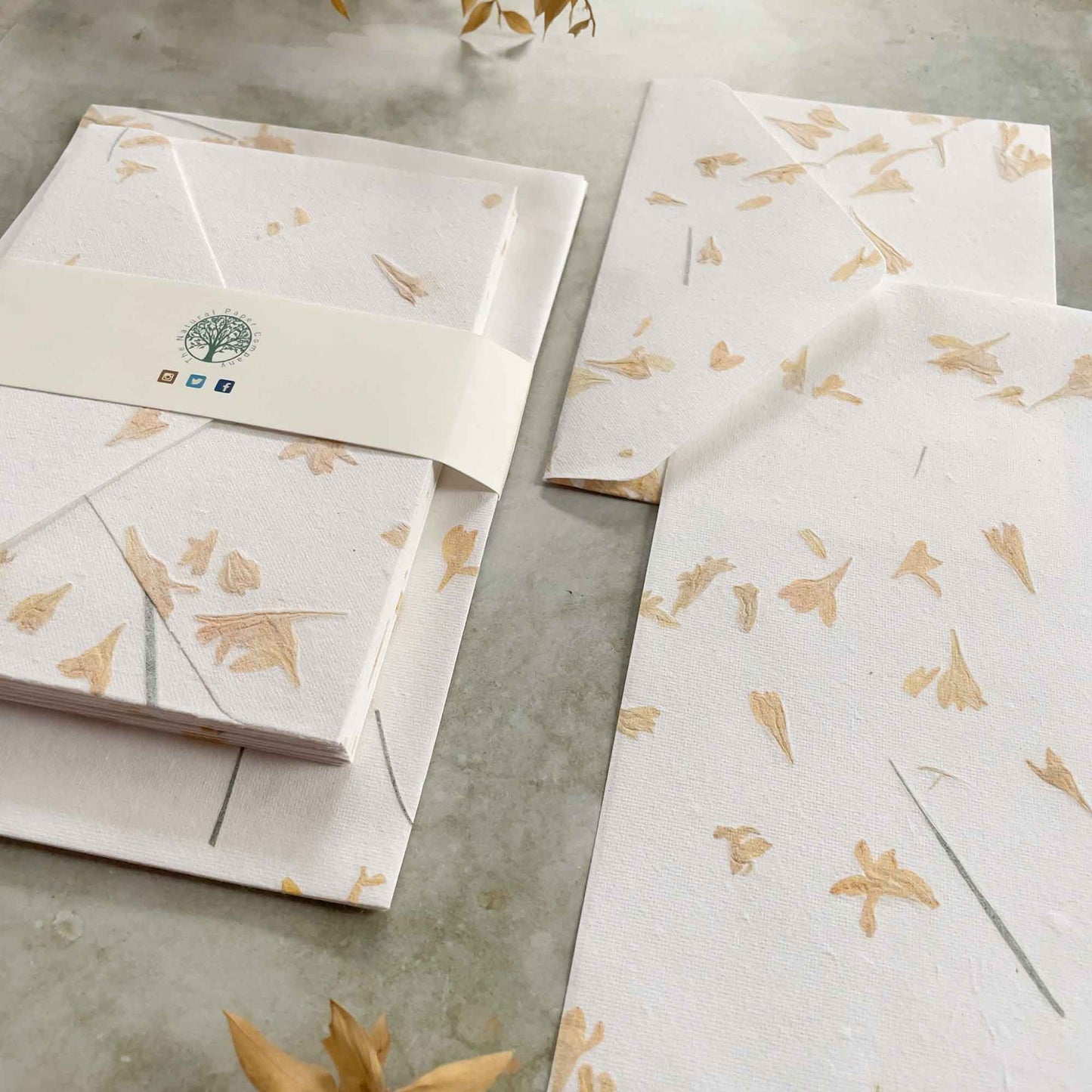 Gaillardia Flower Handmade Cotton Rag Paper and Envelopes by The Natural Paper Company.   Letter Writing set