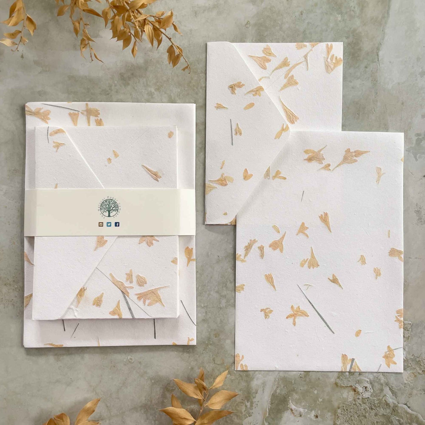 Gaillardia Flower Handmade Cotton Rag Paper and Envelopes by The Natural Paper Company