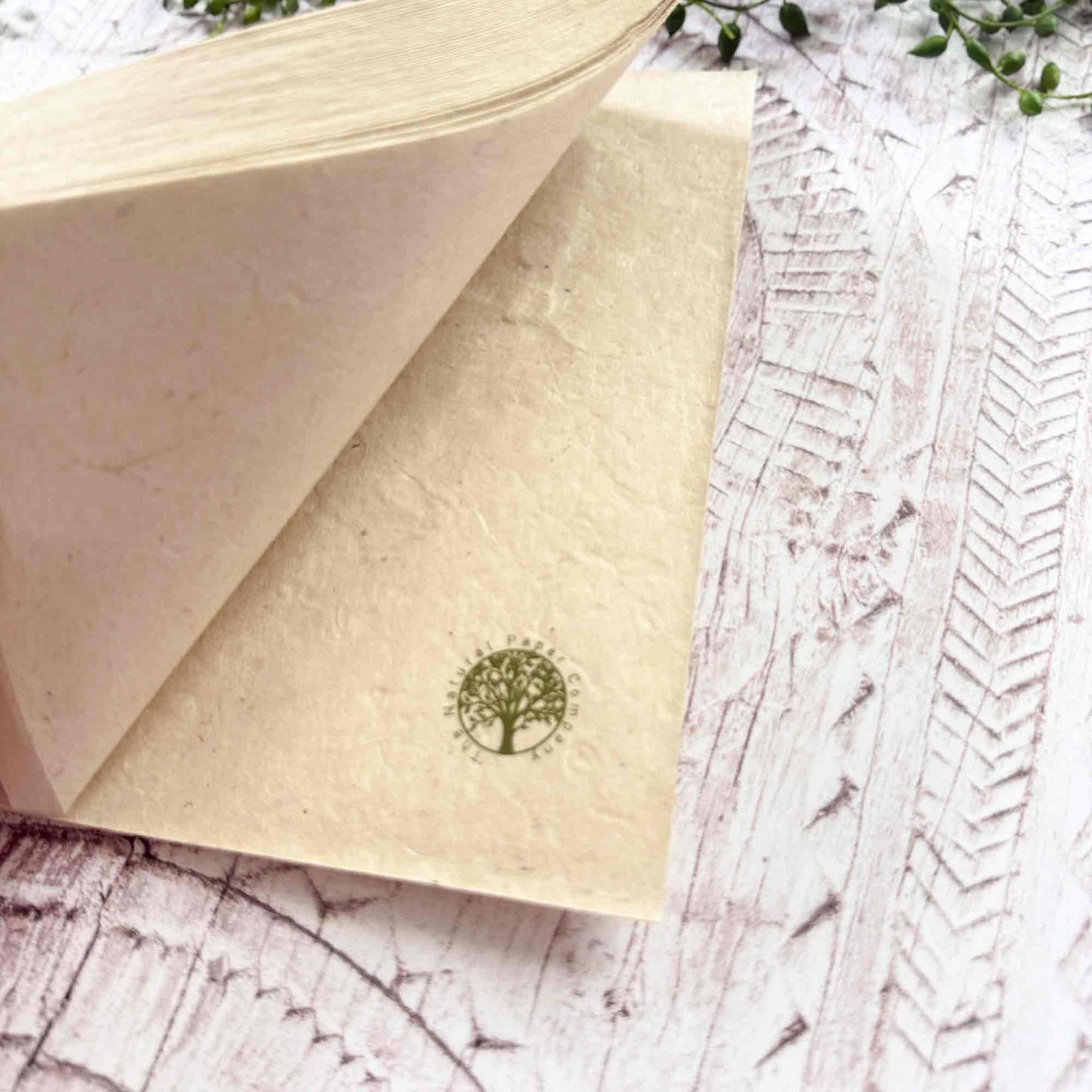 Open Lokta notebook revealing natural textured pages and The Natural Paper Company logo, Marigold design cover