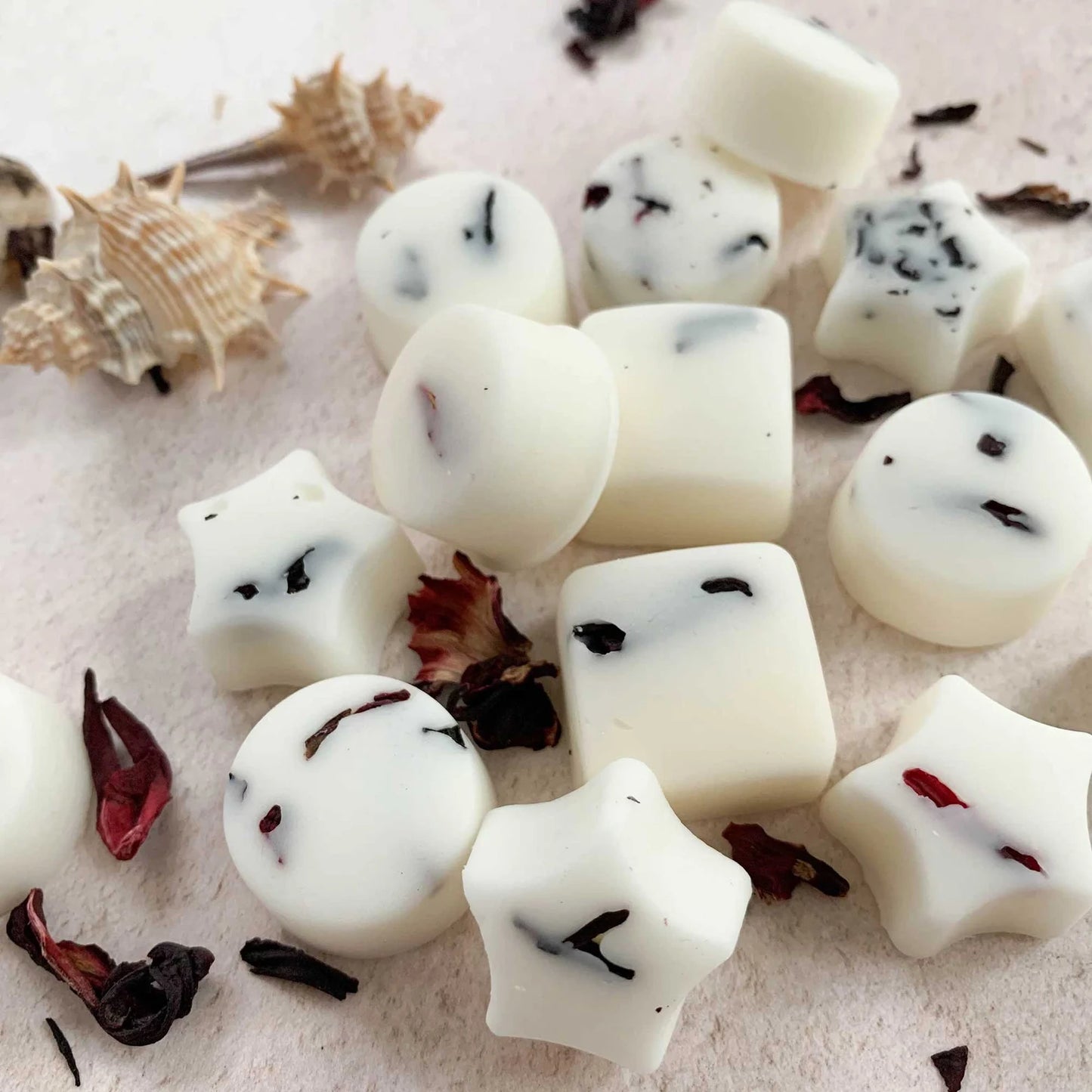 Seychelles Wax Melts | Luxury Soy Wax Melts in gift box | Tropical Scented wax melts | Holiday Smell