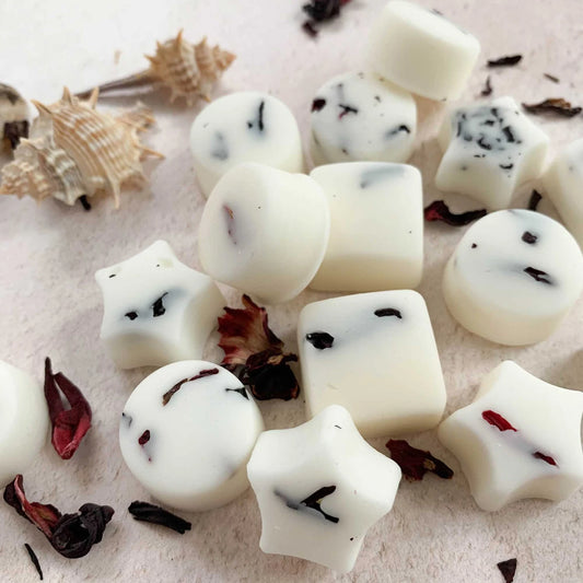 Seychelles Wax Melts | Luxury Soy Wax Melts in gift box | Tropical Scented wax melts | Holiday Smell
