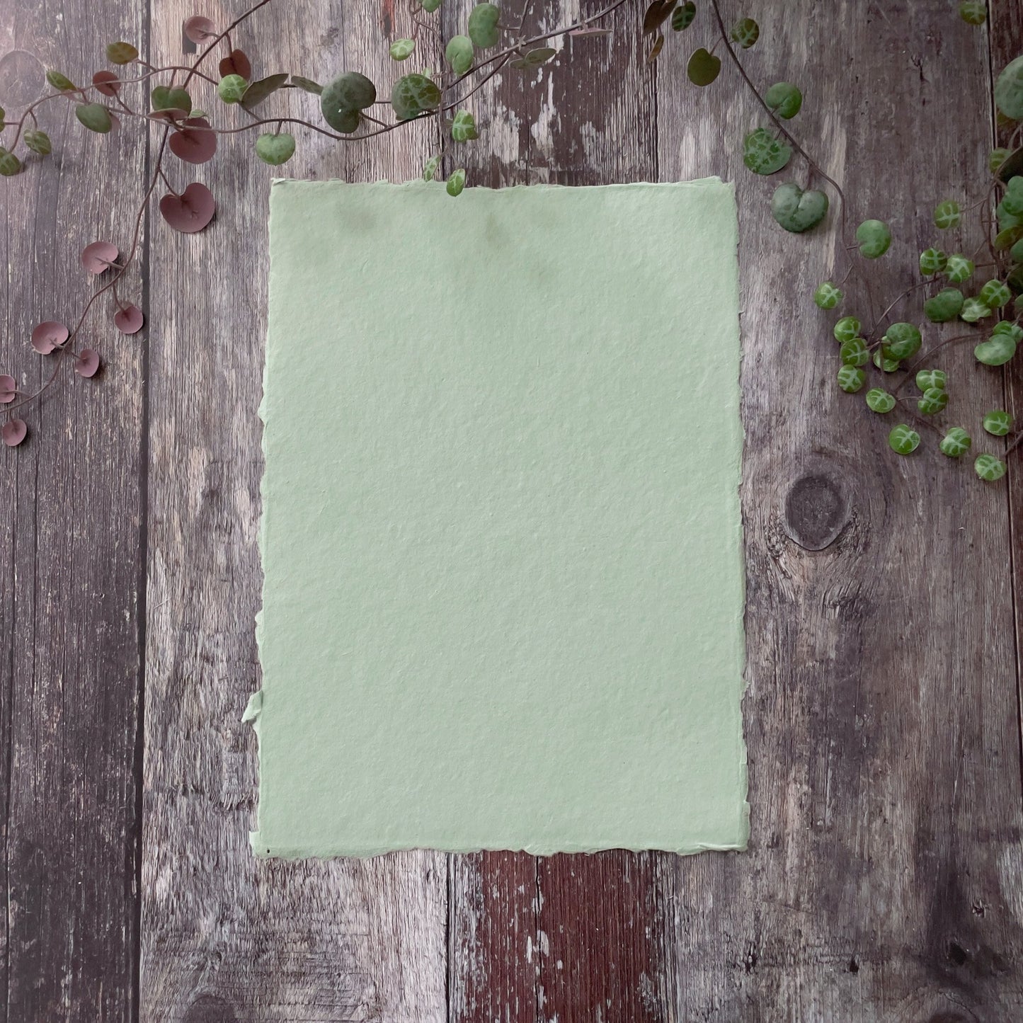 Dusky green handmade paper with a deckled edge.  Recycled handmade paper made from cotton rag fibres.  By The Natural Paper Company