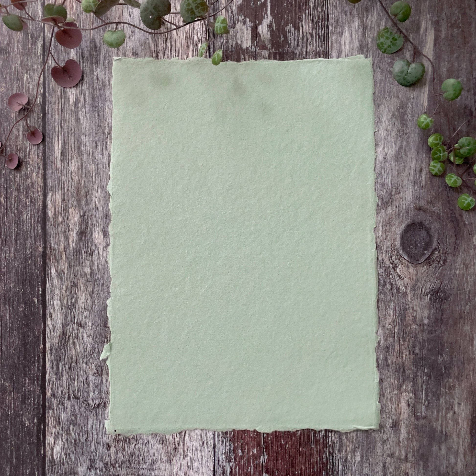 A4 sheets of recycled handmade paper in dusky green colour.  Deckled edge paper in sage green.  Made from recycled cotton rag fibres.  By The Natural paper Company