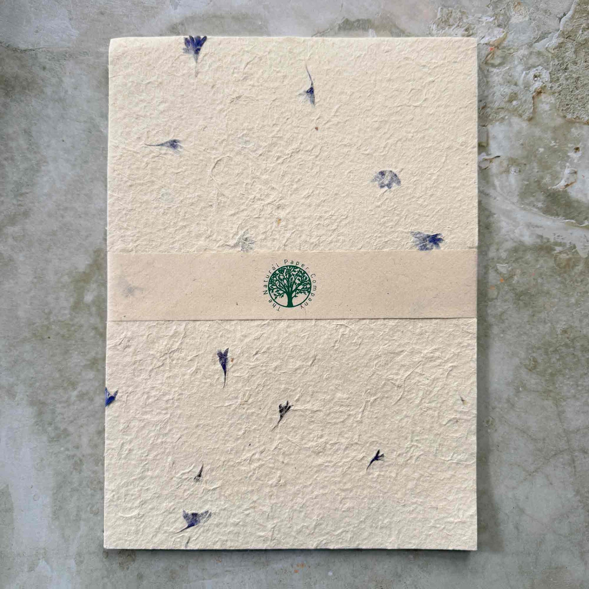 Pack of 10 A4 sheets of Lokta paper with cornflower petals