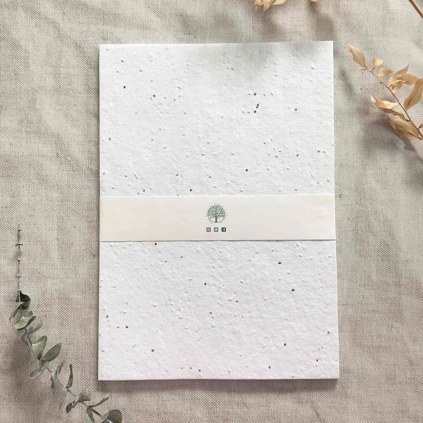 Seeded A4 paper.  Plantable handmade paper with basil seeds.  Tree Free Paper byThe Natural Paper Company