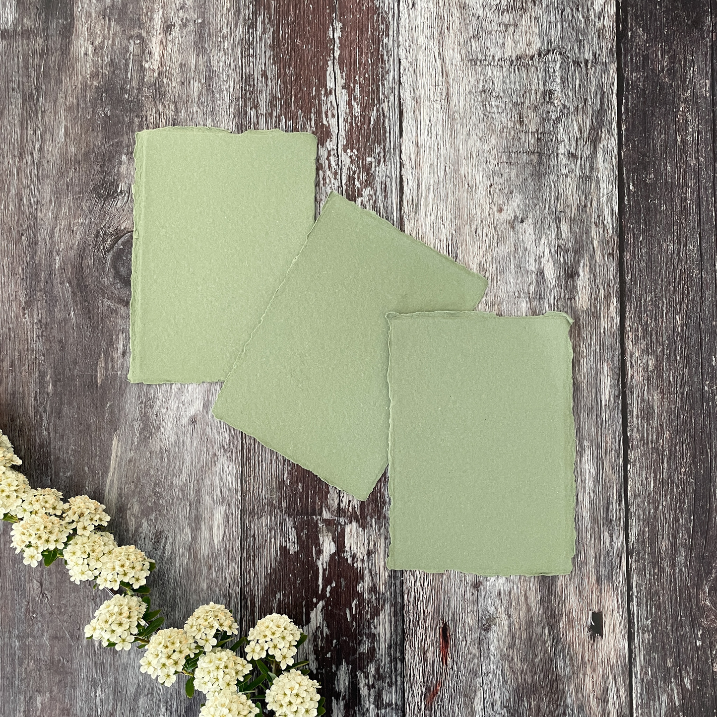 Handmade recycled paper with deckled edges.  Sage green recycled cotton rag paper.  Perfect paper for calligraphy and watercolour invitations.  Great to make wedding invitations.  By The Natural Paper Company