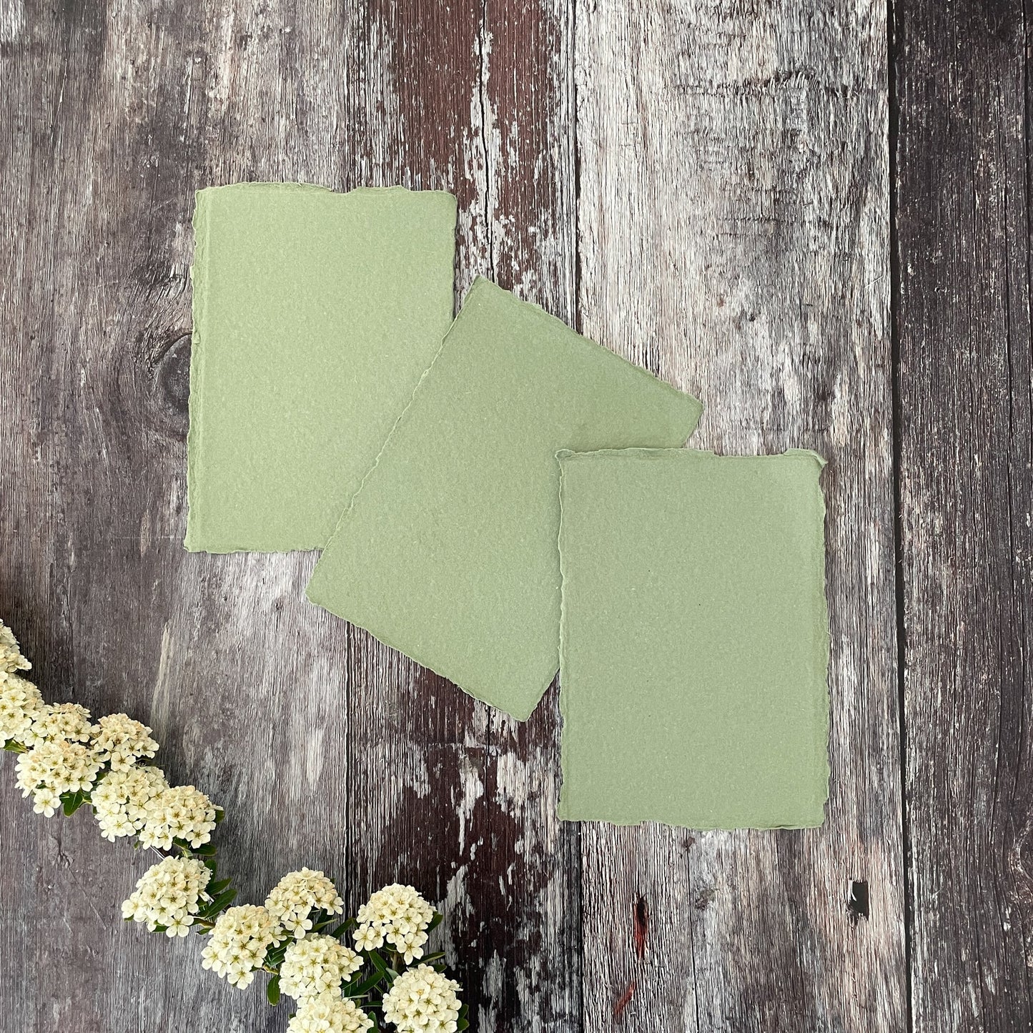 Handmade card made from recycled cotton rag paper in sage green.  Deckled edge paper and card.  By The Natural paper Company