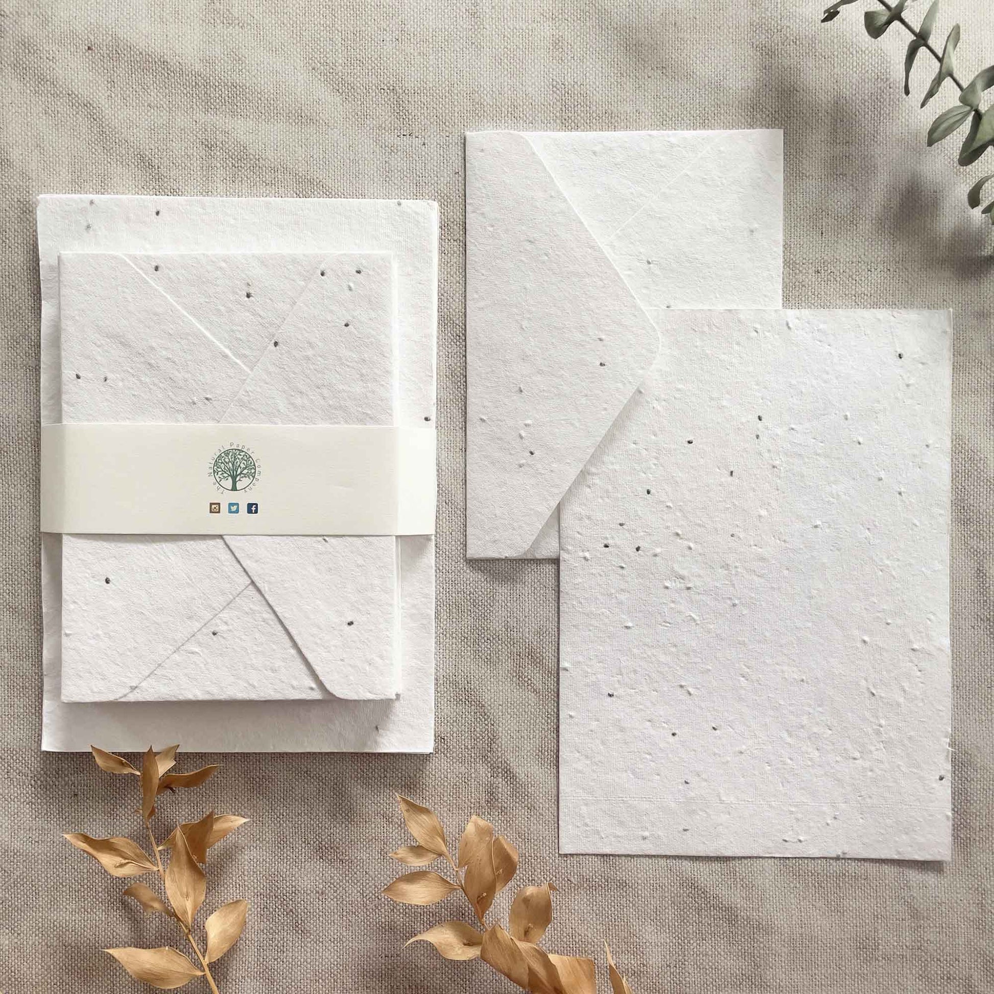 Basil Seed Plantable handmade paper and envelope set.  Eco friendly stationery set by The Natural Paper Company