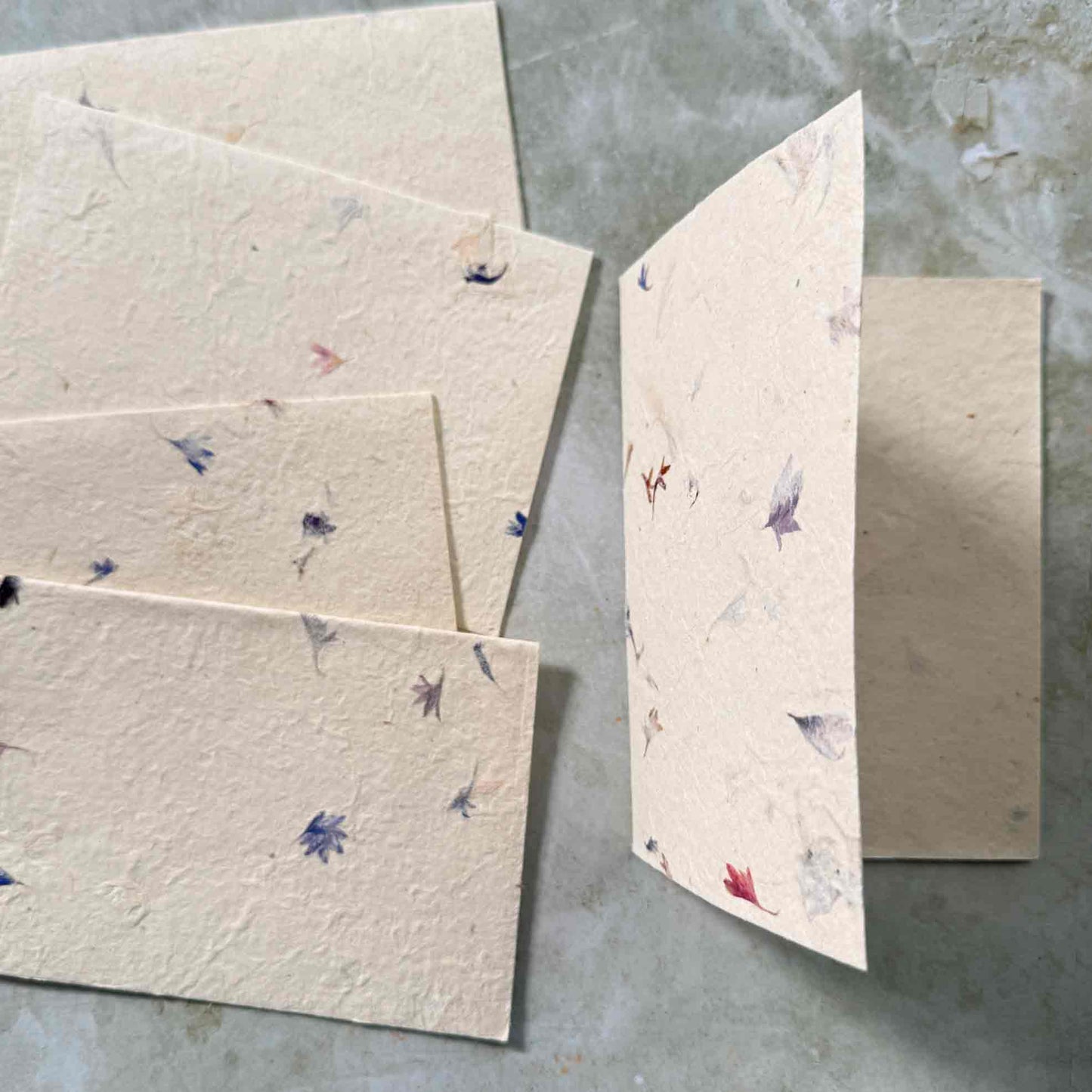 folded cards made from handmade lokta paper with cornflower petals