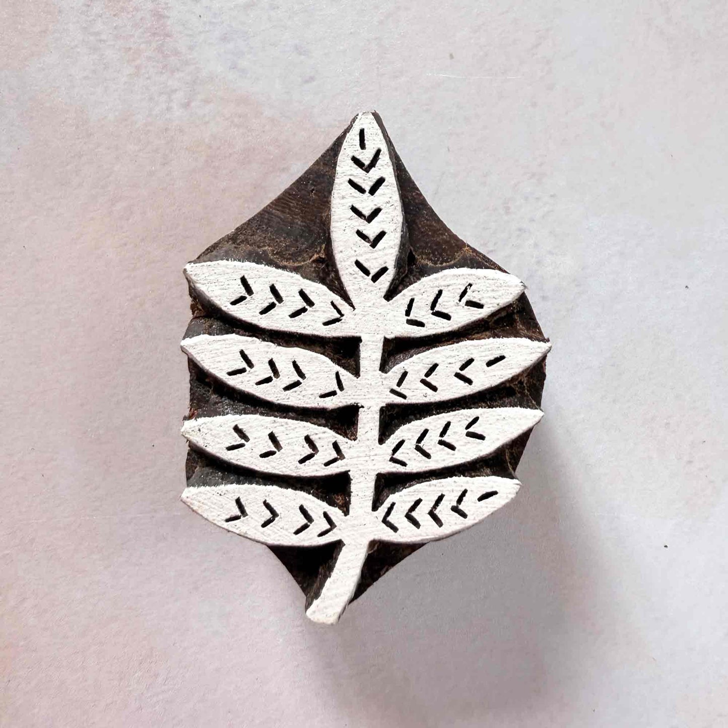 Indian wood block stamp — Bough leafy branch face-on view on soft pale background, slender stem with eight graceful leaflets, handcrafted wooden stamp, premium traditional printing block hardwood