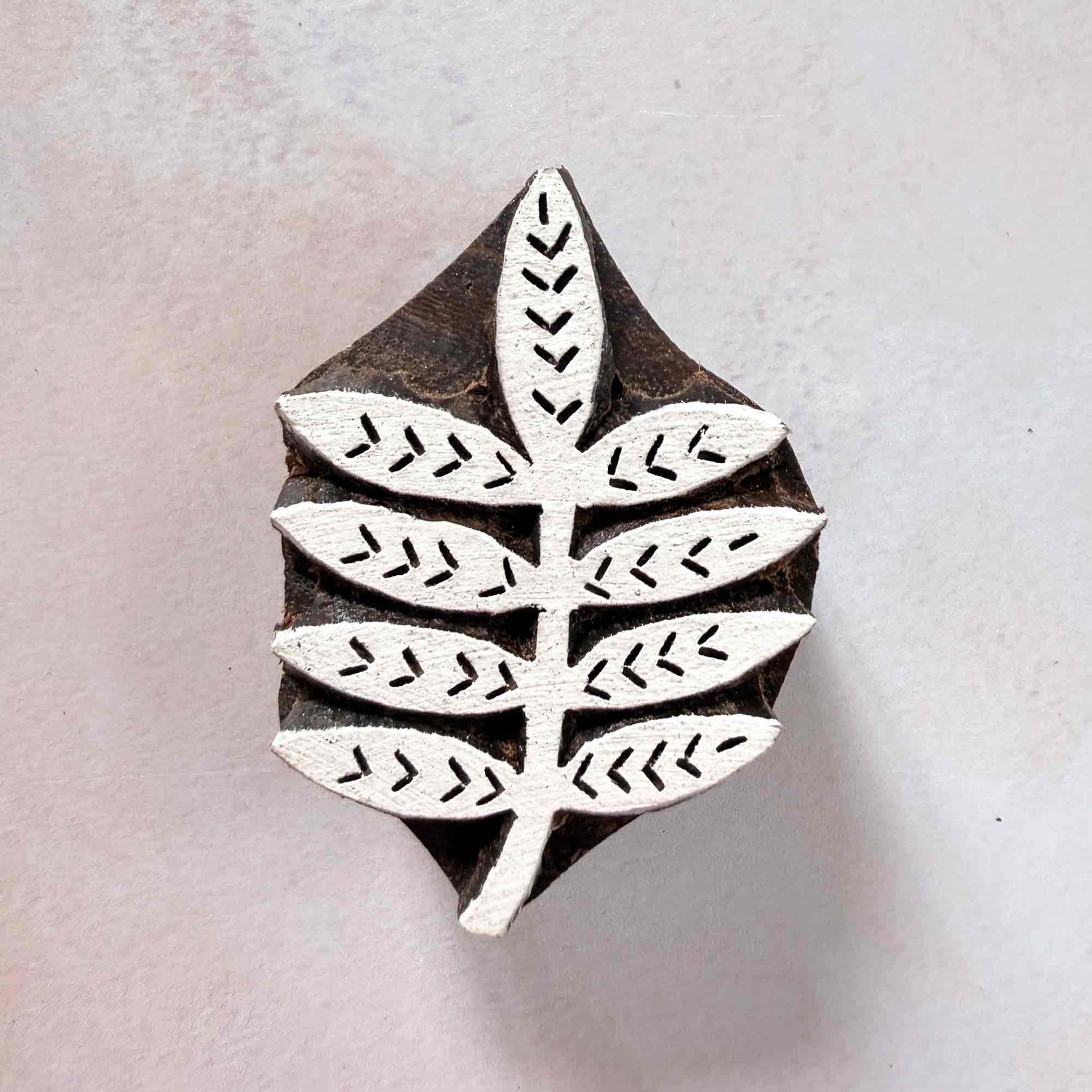 Indian wood block stamp — Bough leafy branch face-on view on soft pale background, slender stem with eight graceful leaflets, handcrafted wooden stamp, premium traditional printing block hardwood
