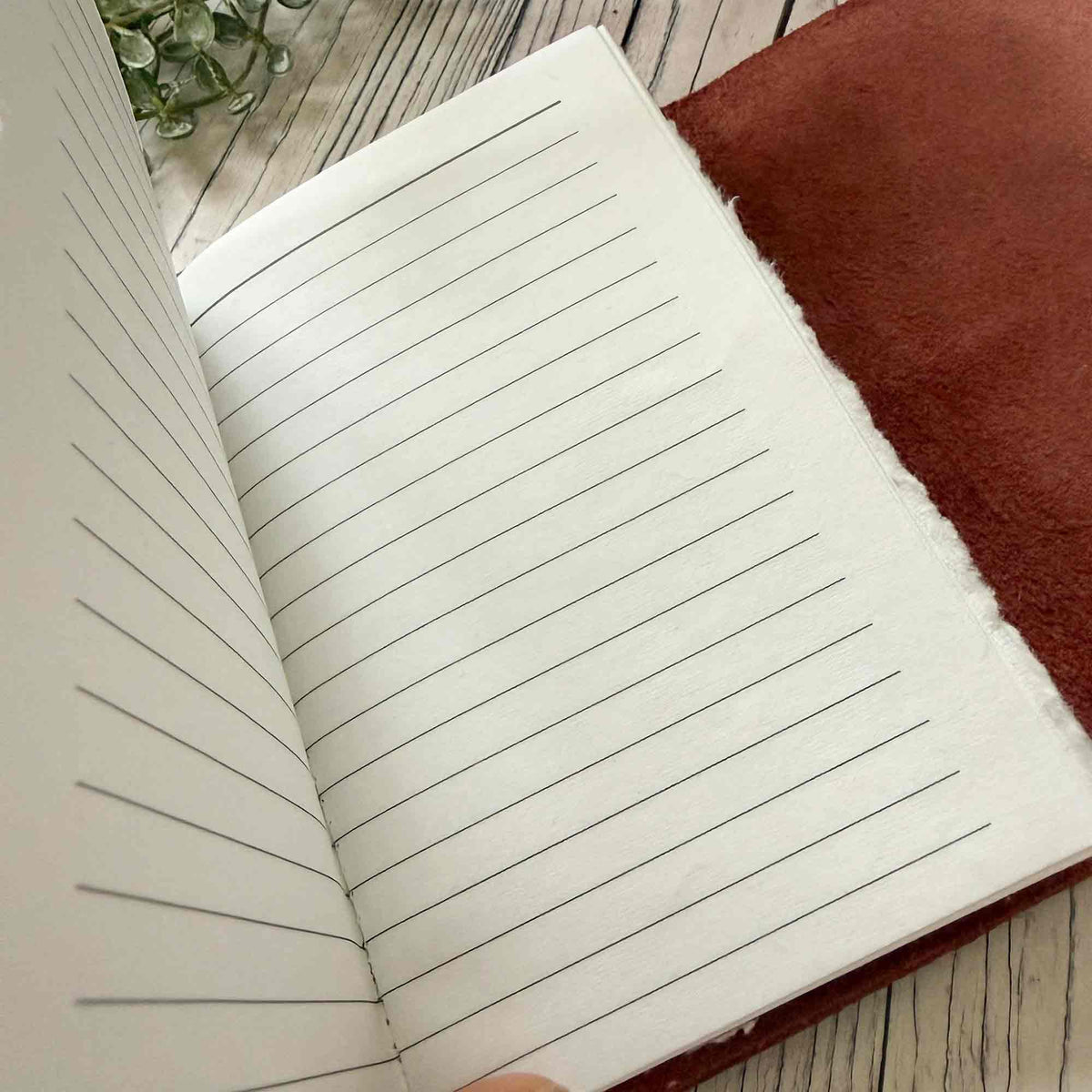 Burgundy refillable leather journal open to lined handmade cotton paper pages