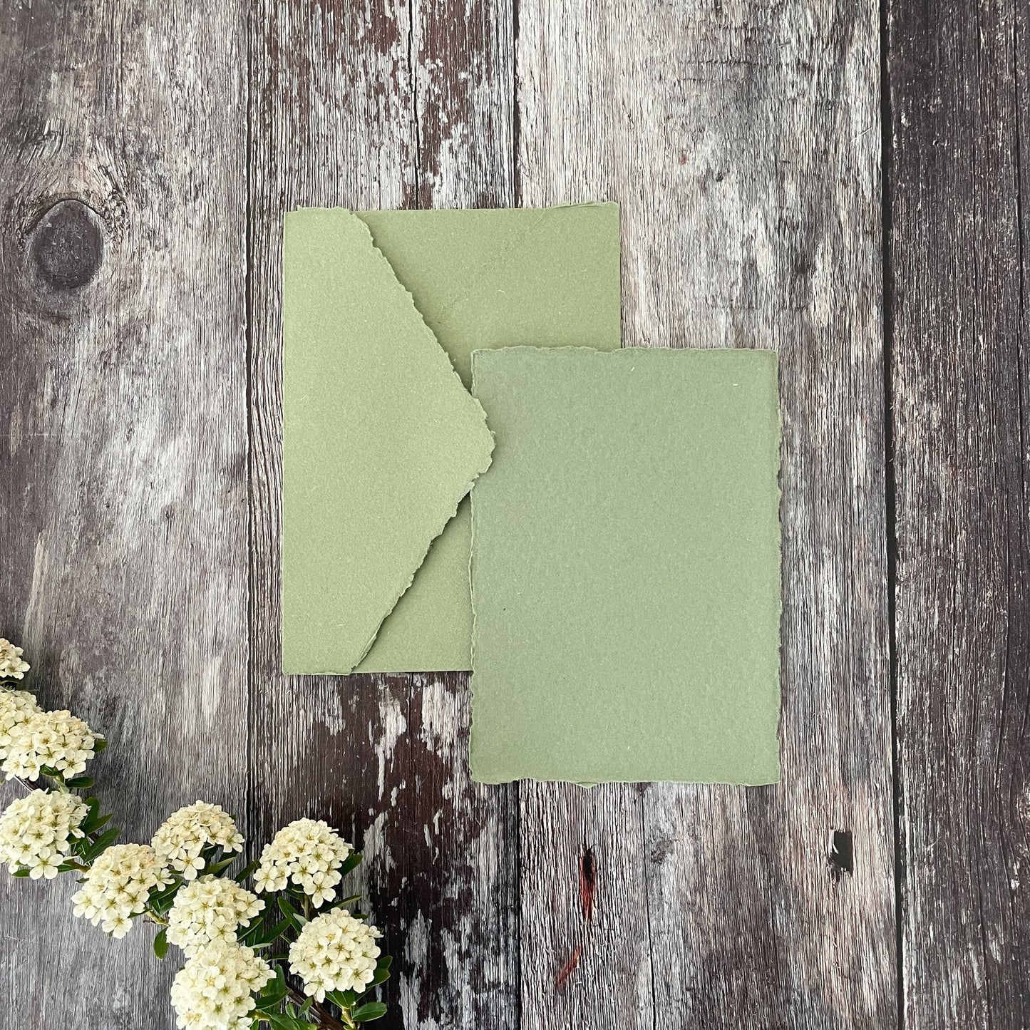 Recycled handmade paper and envelopes in sage green colour.  Invitation card and envelopes made from recycled cotton rag paper with a deckled edge.  By The Natural Paper Company