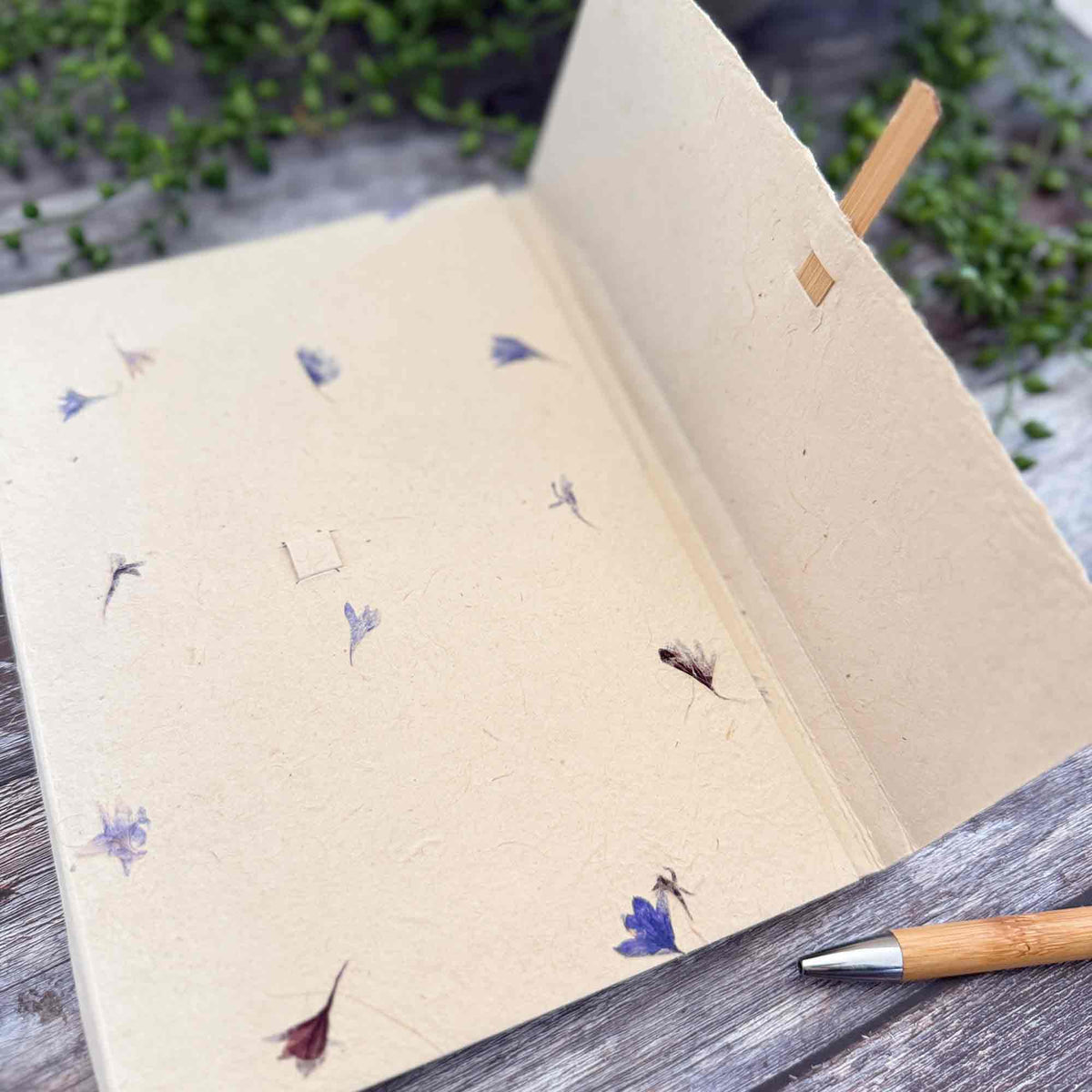 Open Cornflower Lokta paper letter writing folder with bamboo fastening and botanical paper