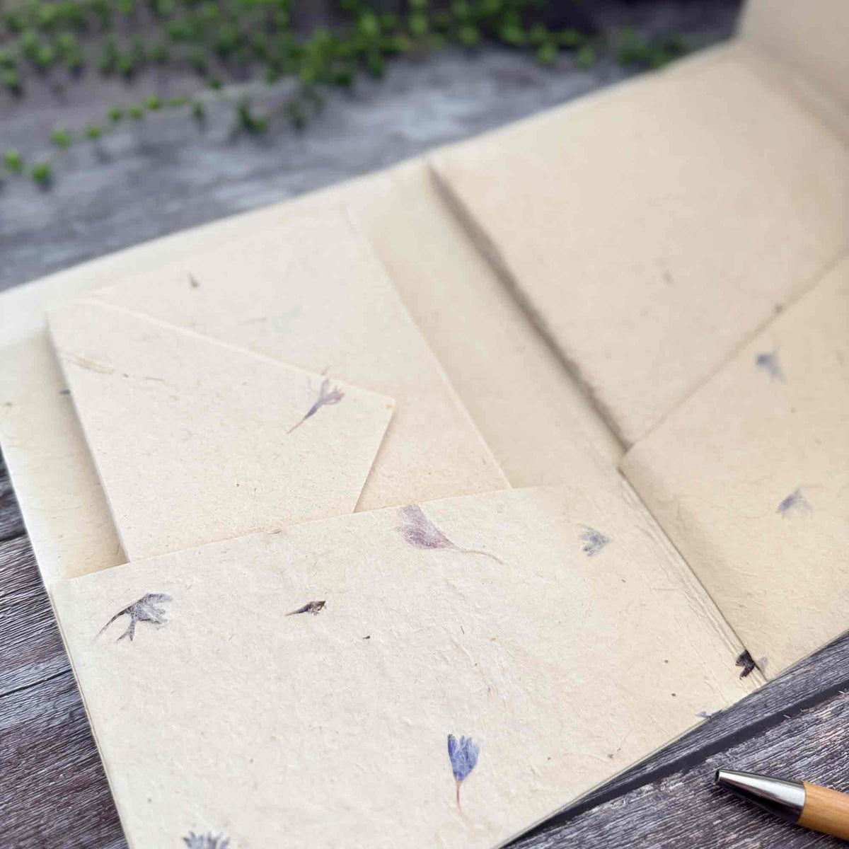 Cornflower flower paper envelopes and handmade writing paper displayed inside stationery folder