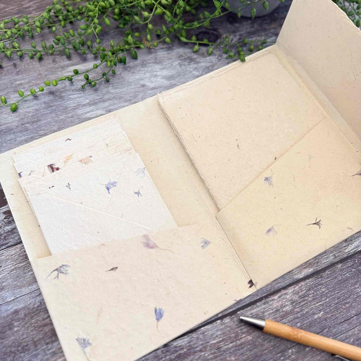 Open Cornflower handmade letter writing set with botanical envelopes and Lokta paper sheets