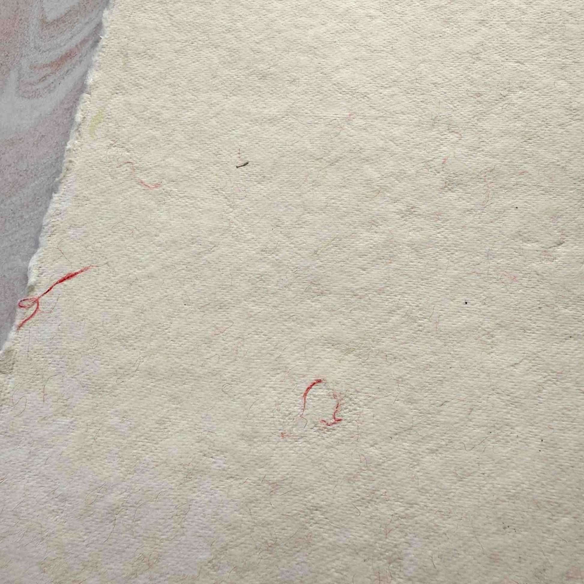 wool paper with deckled edges