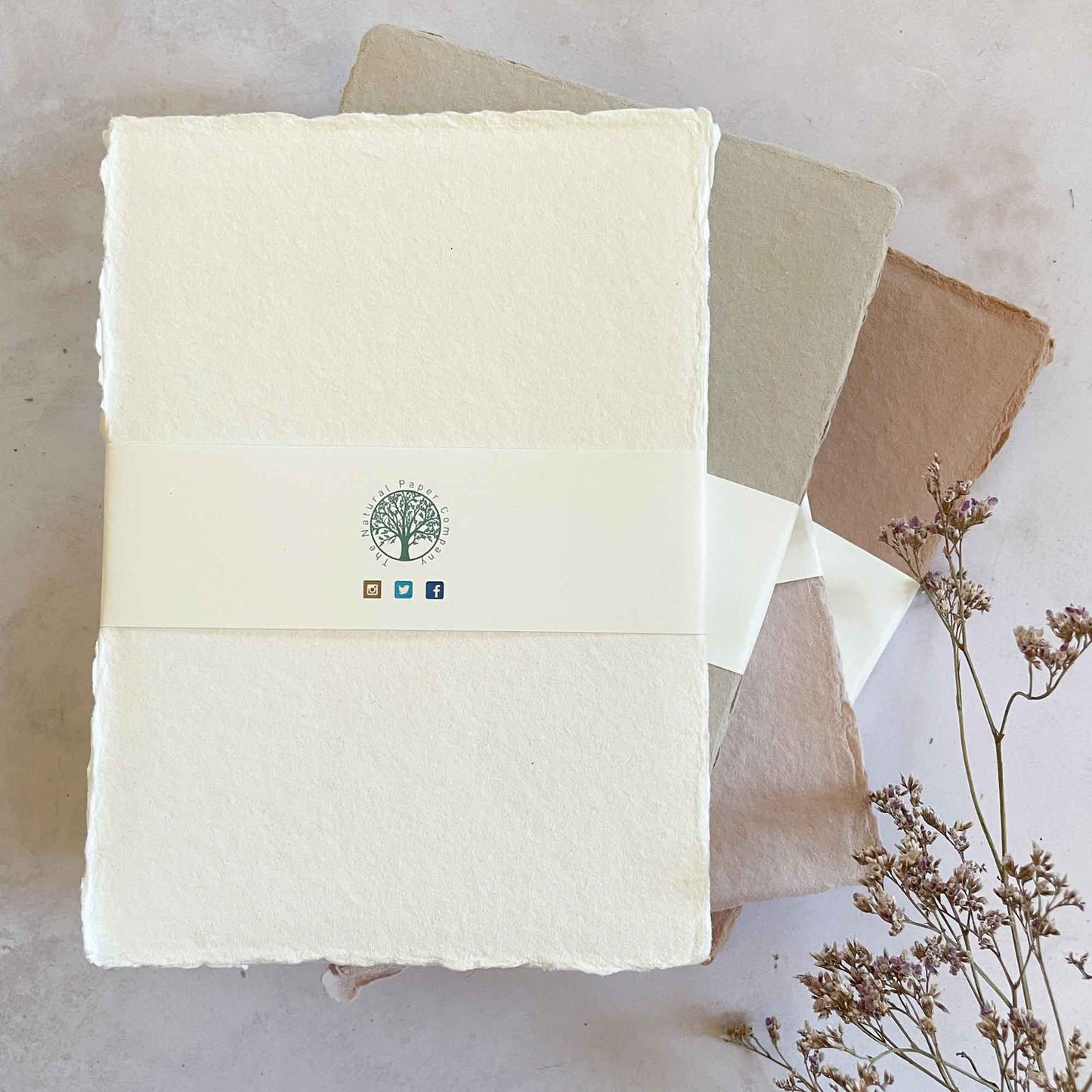 Cotton Rag Paper and Card by The Natural Paper Company.  Natural Colour Paper and card with deckled edges