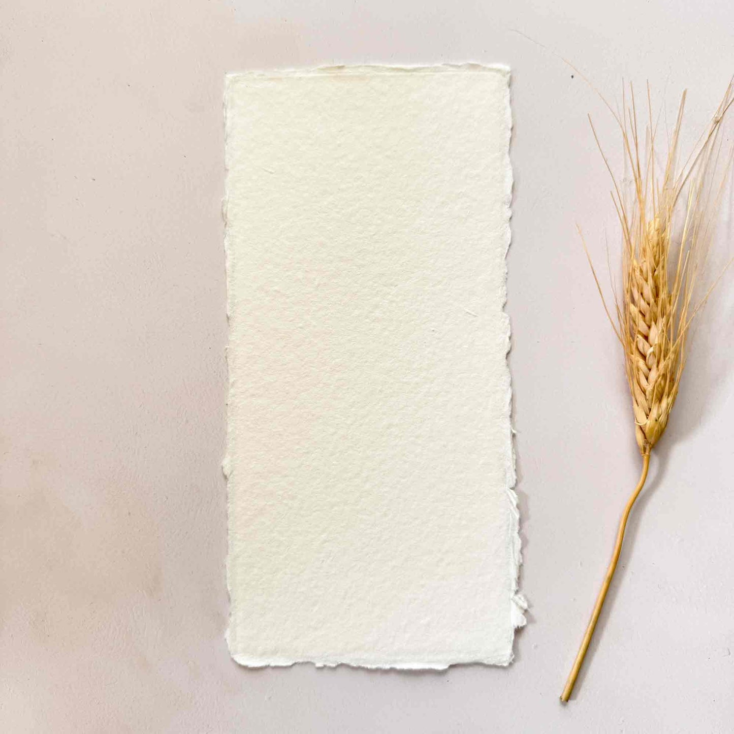 DL size handmade paper card in ivory