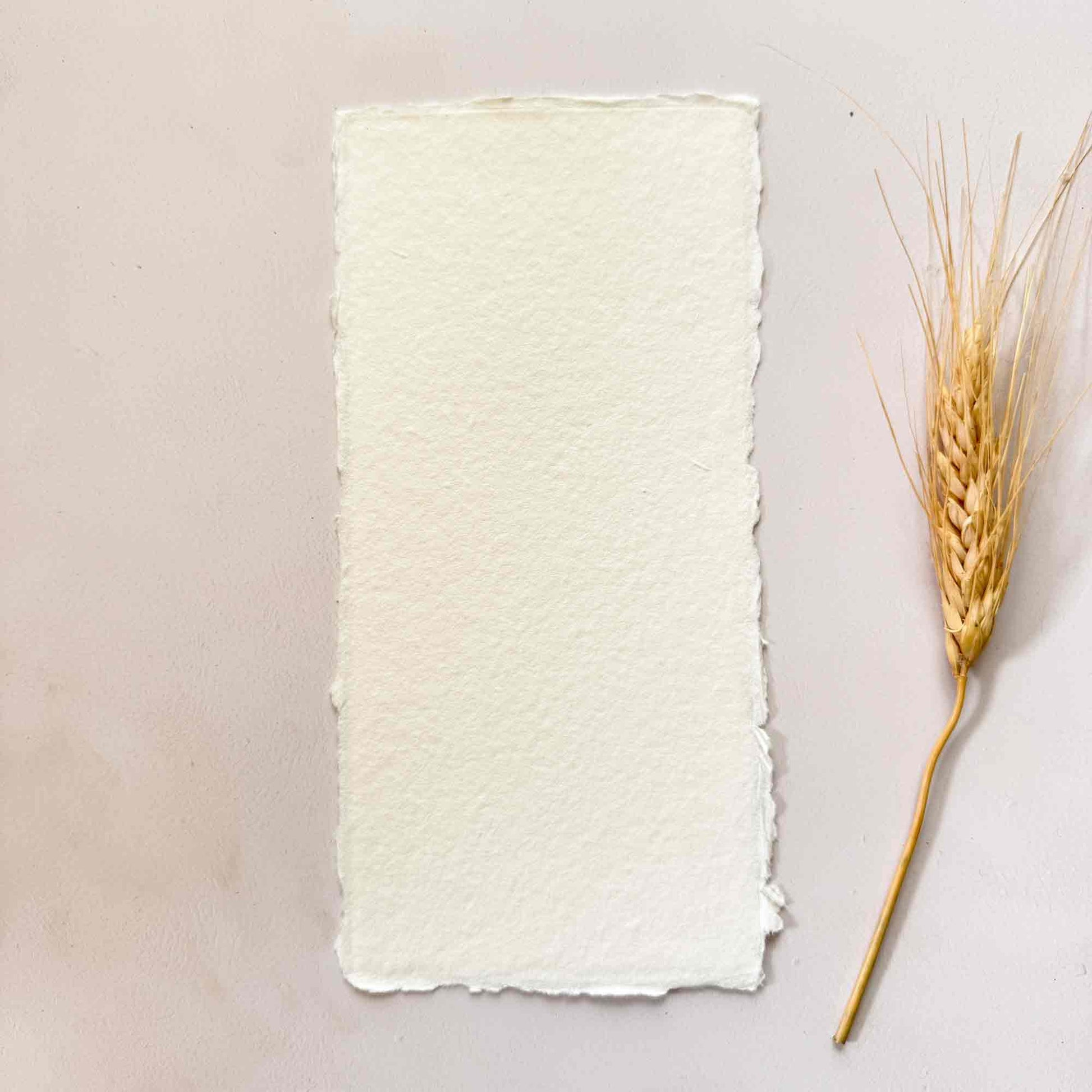 DL size handmade paper card in ivory