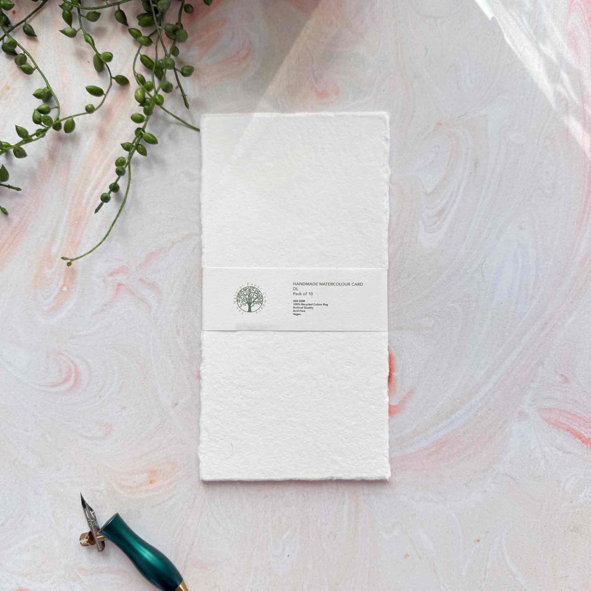 dl cotton paper for watercolour painting