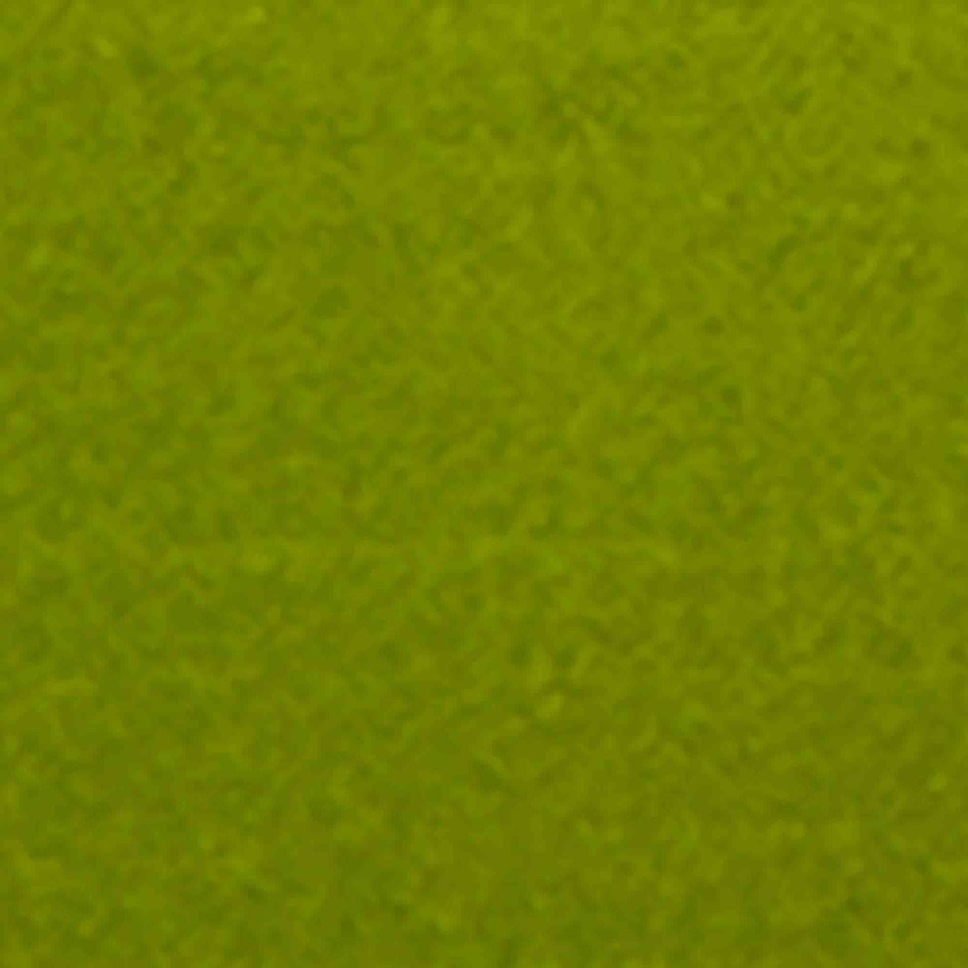 Olive green colour ink pad for wood block stamping.  Acid free ink in grasshopper green