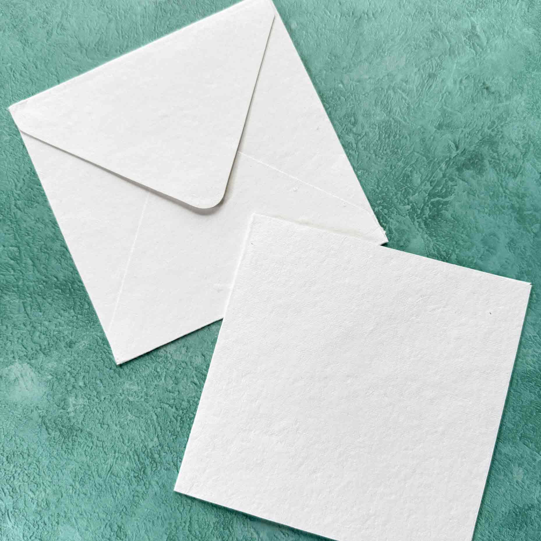 blank folded card and envelope set by The Natural Paper Company