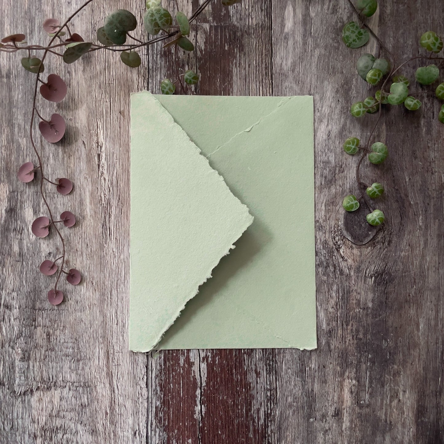 Handmade paper invitation envelope with a deckled edge.  Sage green envelope handmade from recycled cotton rag fibres.  By The Natural paper Company