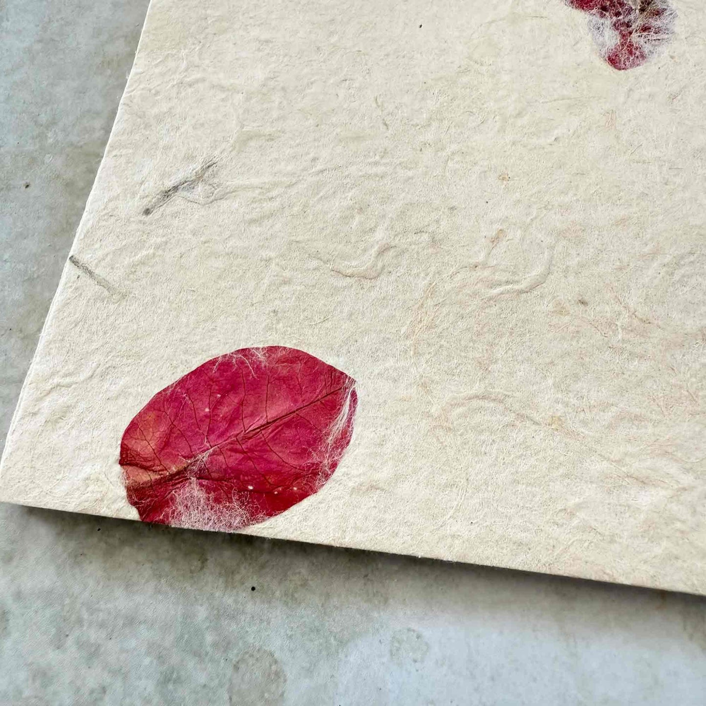 Textured handmade Lokta paper with pressed flower petals
