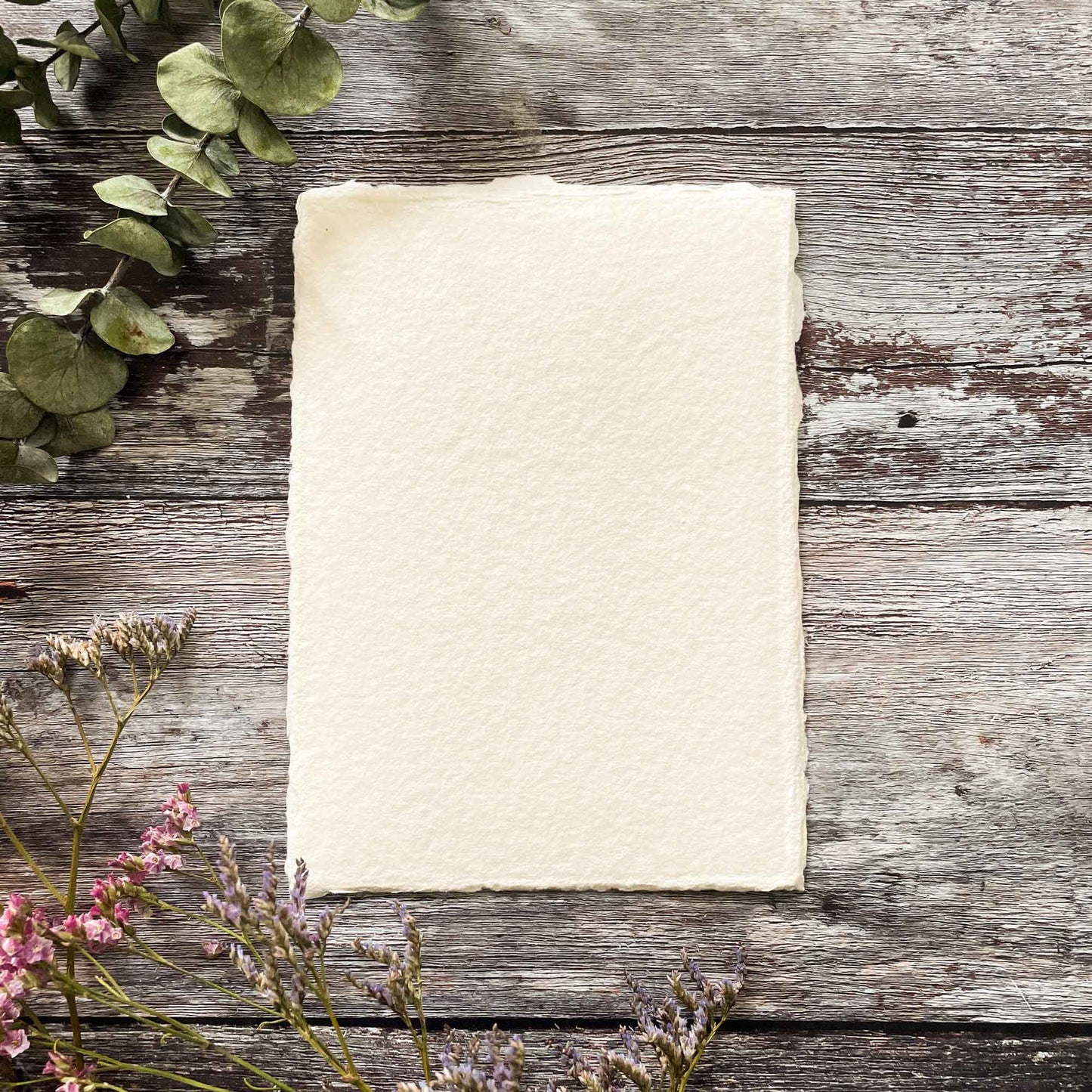 5 x 7 sheet of handmade cotton rag paper card for invitations and watercolour painting.  Ivory handmade card with deckled edges.  By The Natural Paper Company