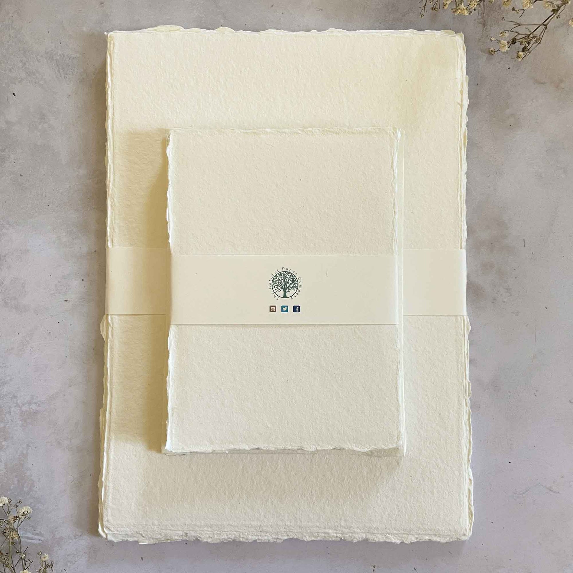 Ivory handmade cotton rag paper with deckled edges.  By The Natural Paper Company