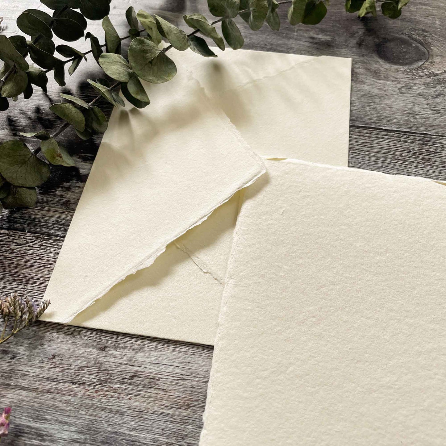 handmade cotton rag paper and envelope in Ivory.  Deckle edge paper made from recycled cotton rag fibres.  Perfect for watercolour painting and calligraphy.  By The Natural Paper Company